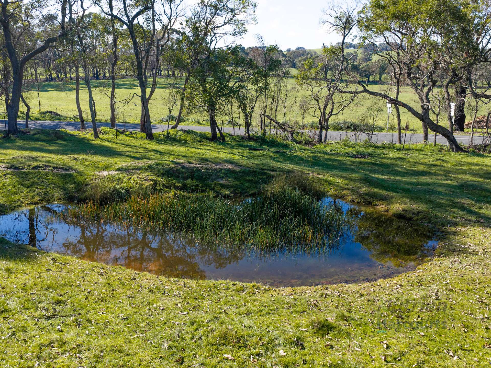 3056 Highlands Road, Highlands For Sale by Farmbuy.com - image 17