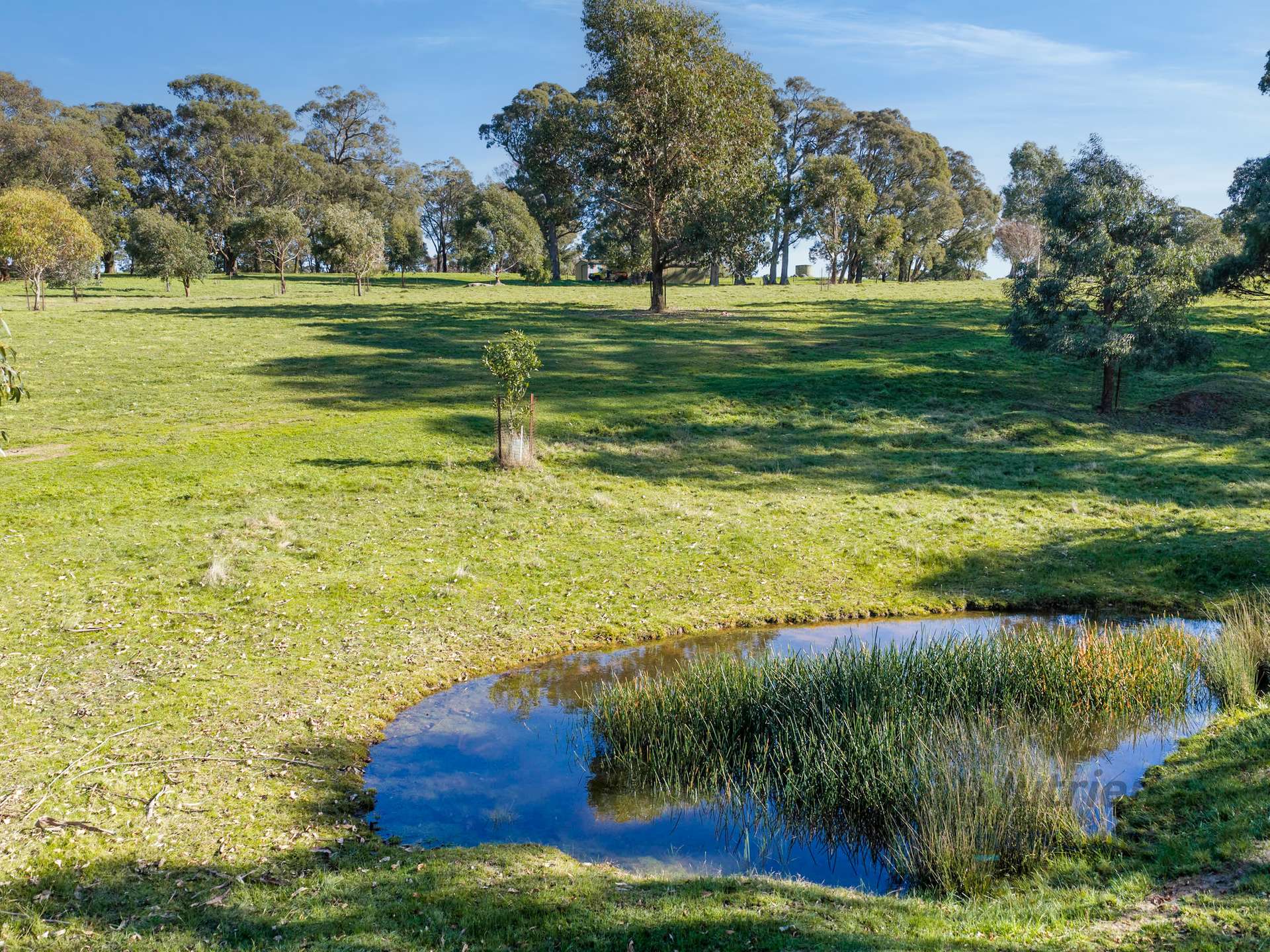 3056 Highlands Road, Highlands For Sale by Farmbuy.com - image 16