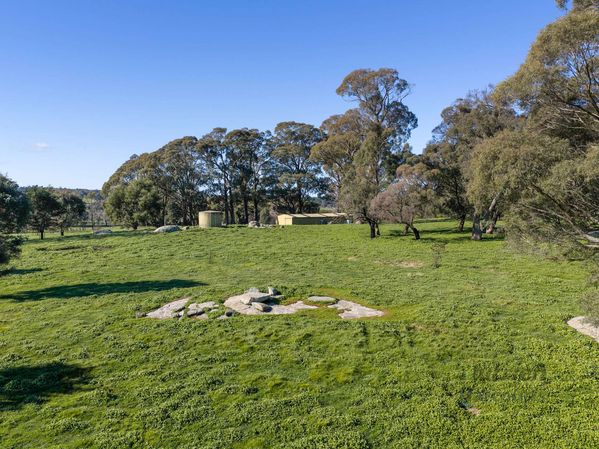 3056 Highlands Road, Highlands For Sale by Farmbuy.com - image 7