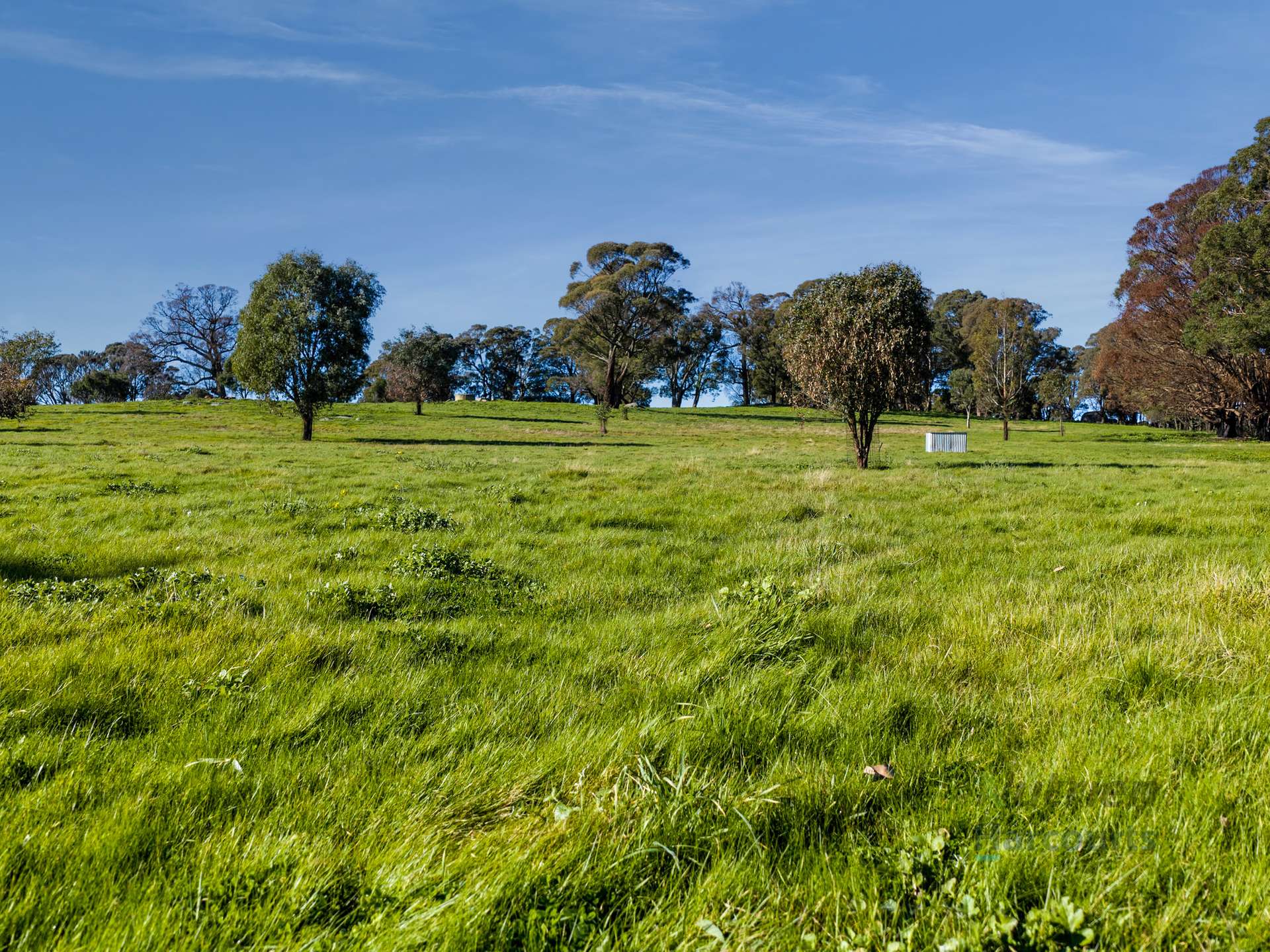 3056 Highlands Road, Highlands For Sale by Farmbuy.com - image 25