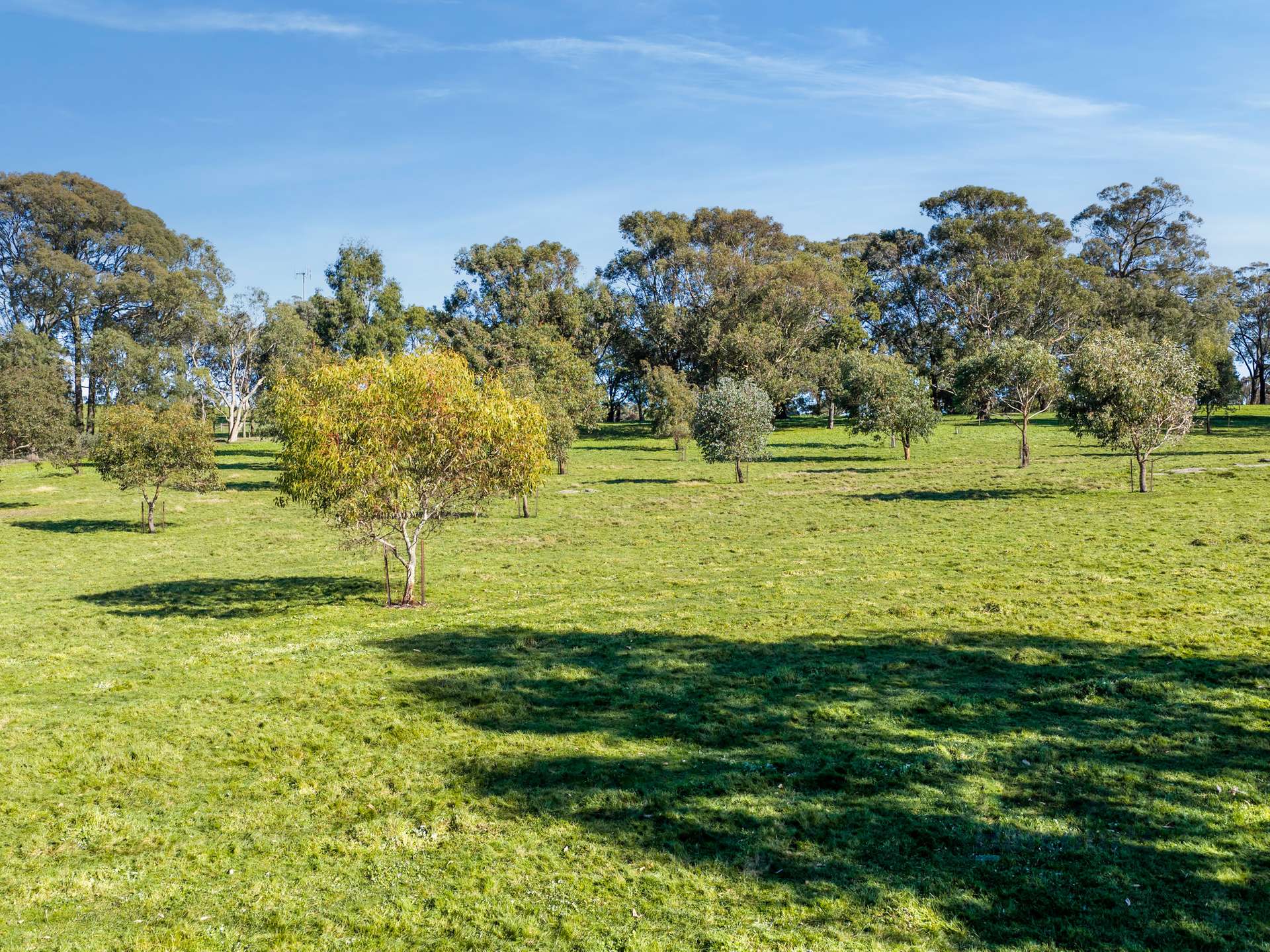 3056 Highlands Road, Highlands For Sale by Farmbuy.com - image 28
