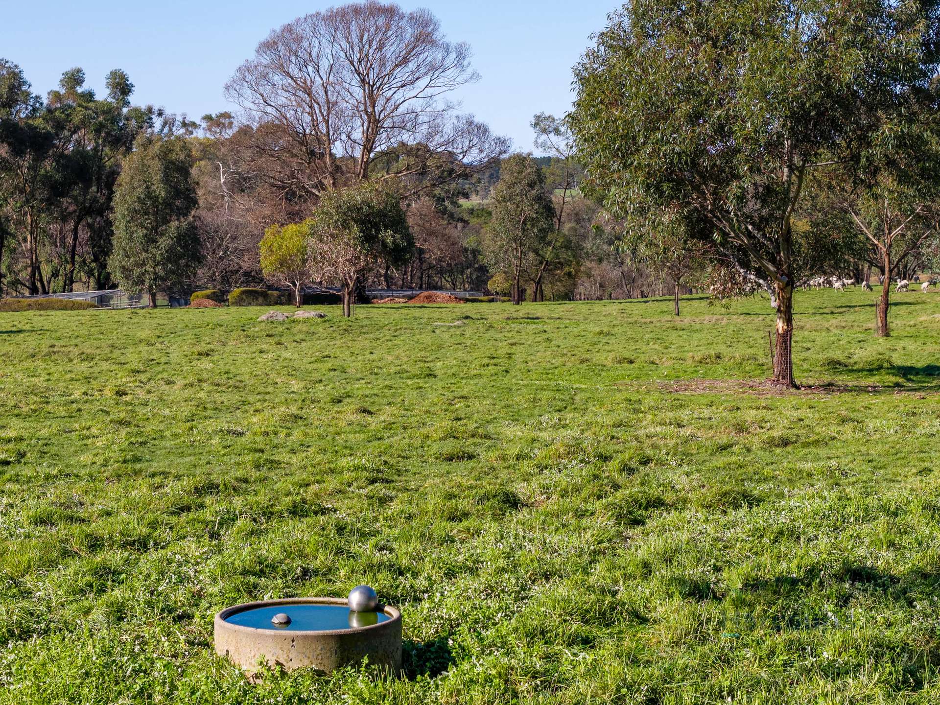 3056 Highlands Road, Highlands For Sale by Farmbuy.com - image 29