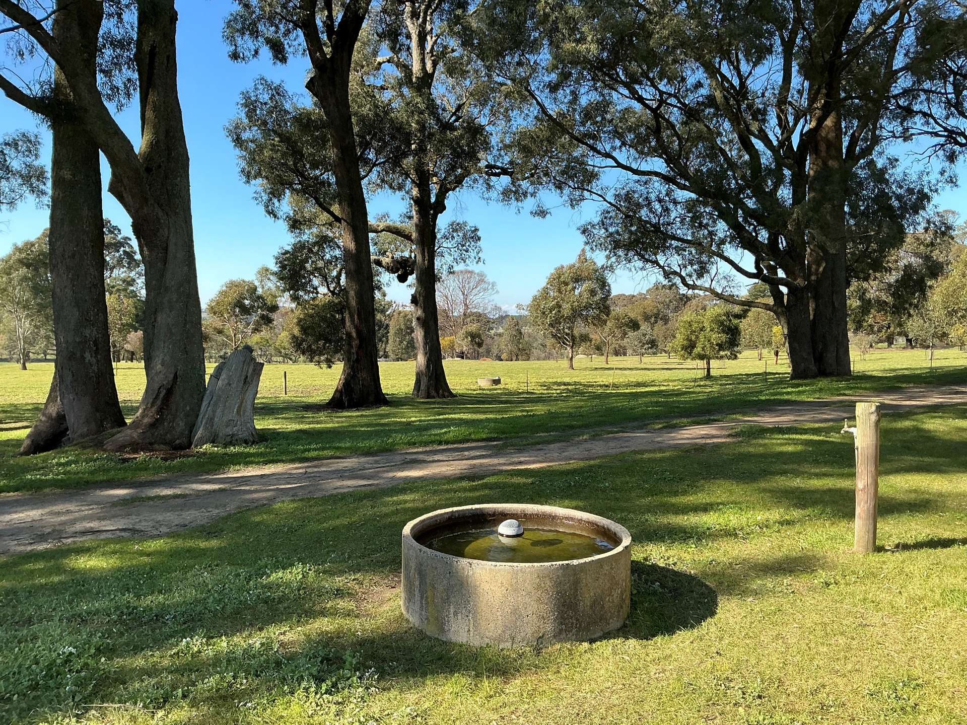 3056 Highlands Road, Highlands For Sale by Farmbuy.com - image 24