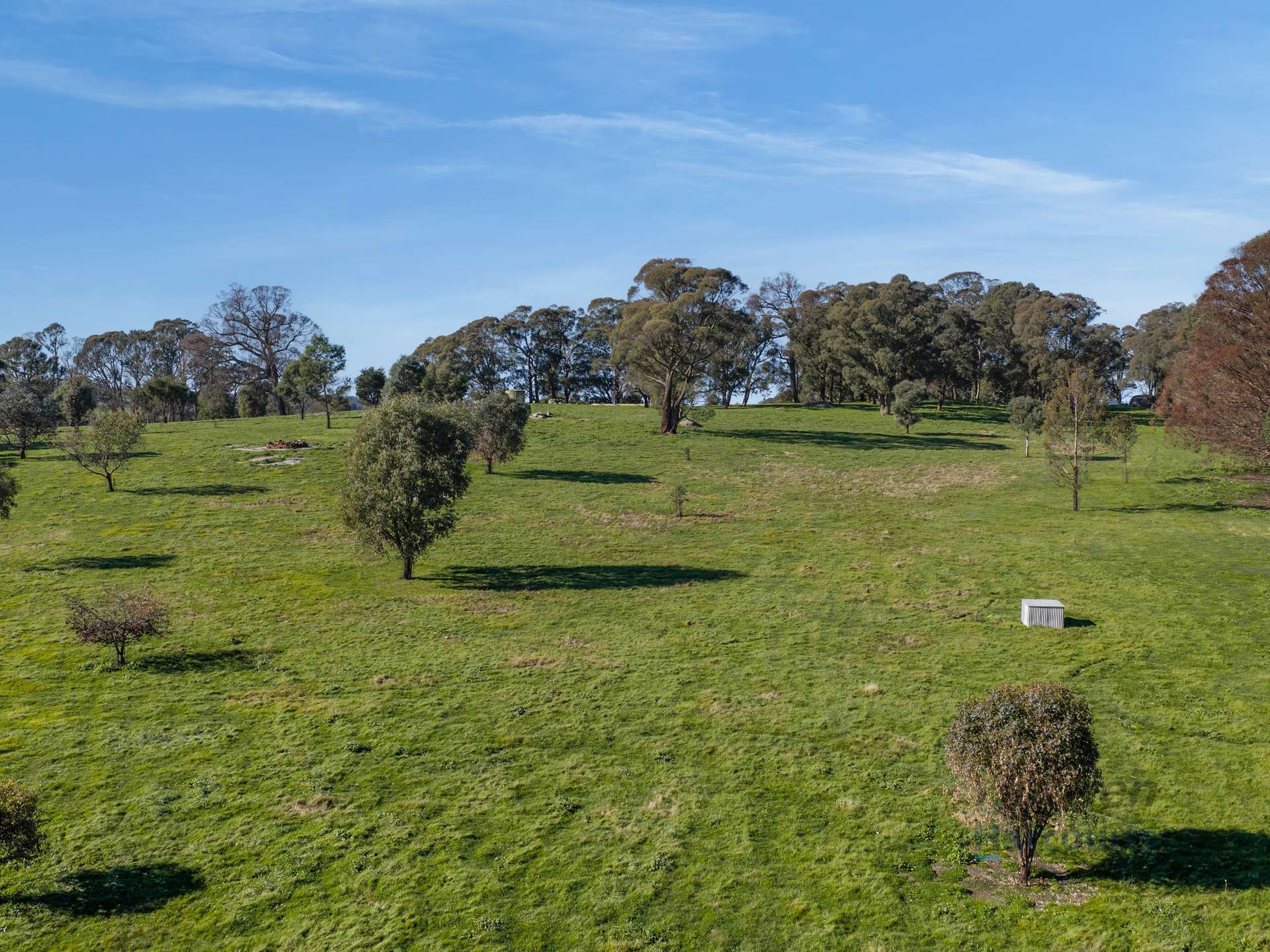 3056 Highlands Road, Highlands For Sale by Farmbuy.com - image 24