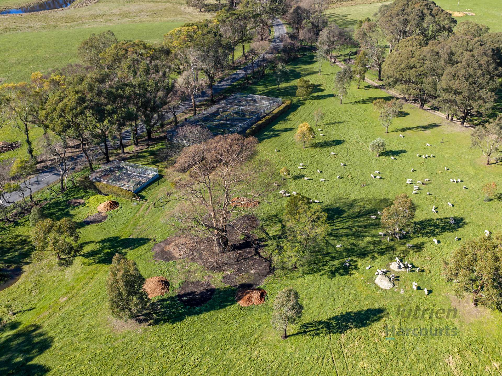 3056 Highlands Road, Highlands For Sale by Farmbuy.com - image 2