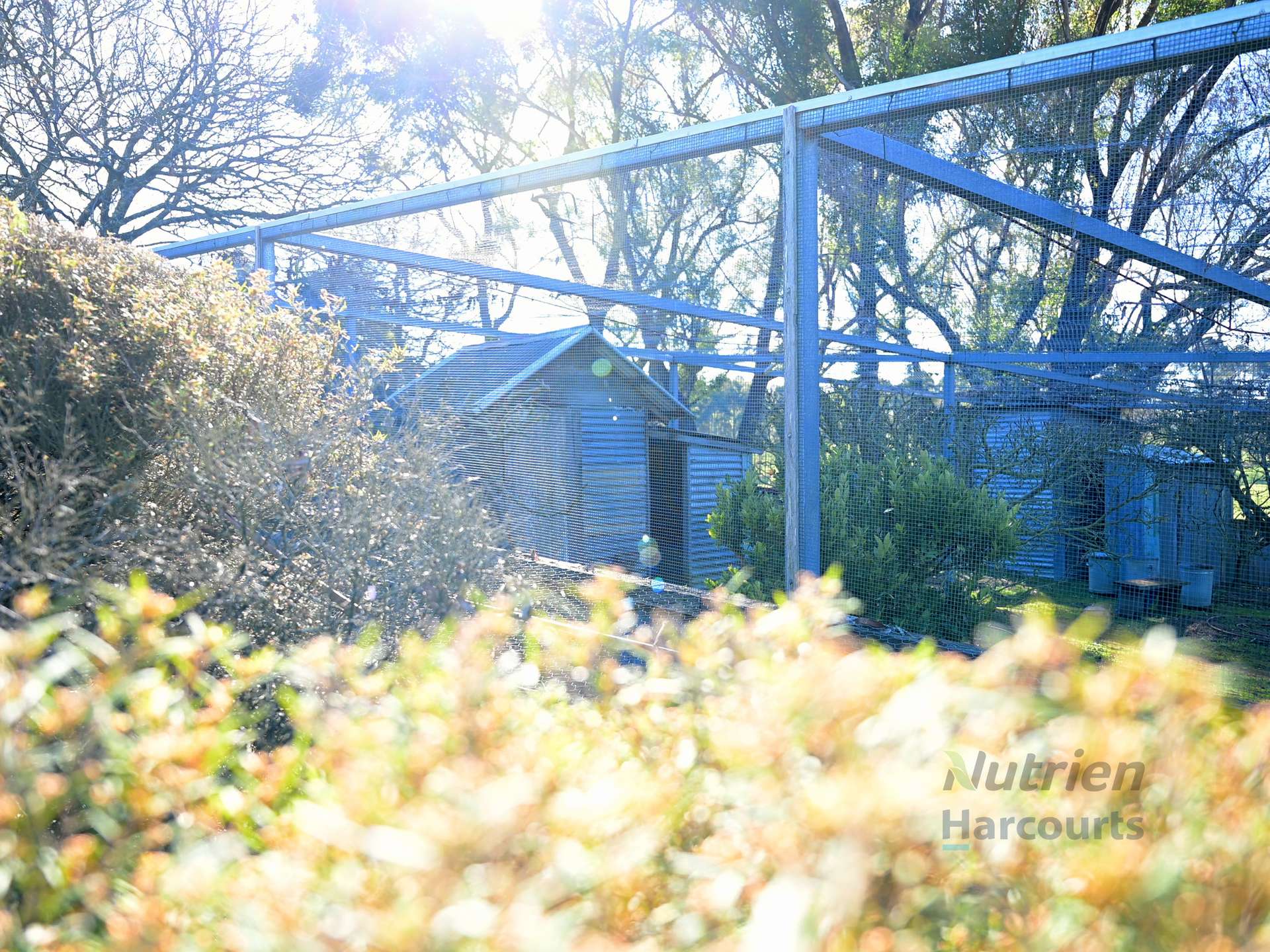 3056 Highlands Road, Highlands For Sale by Farmbuy.com - image 14