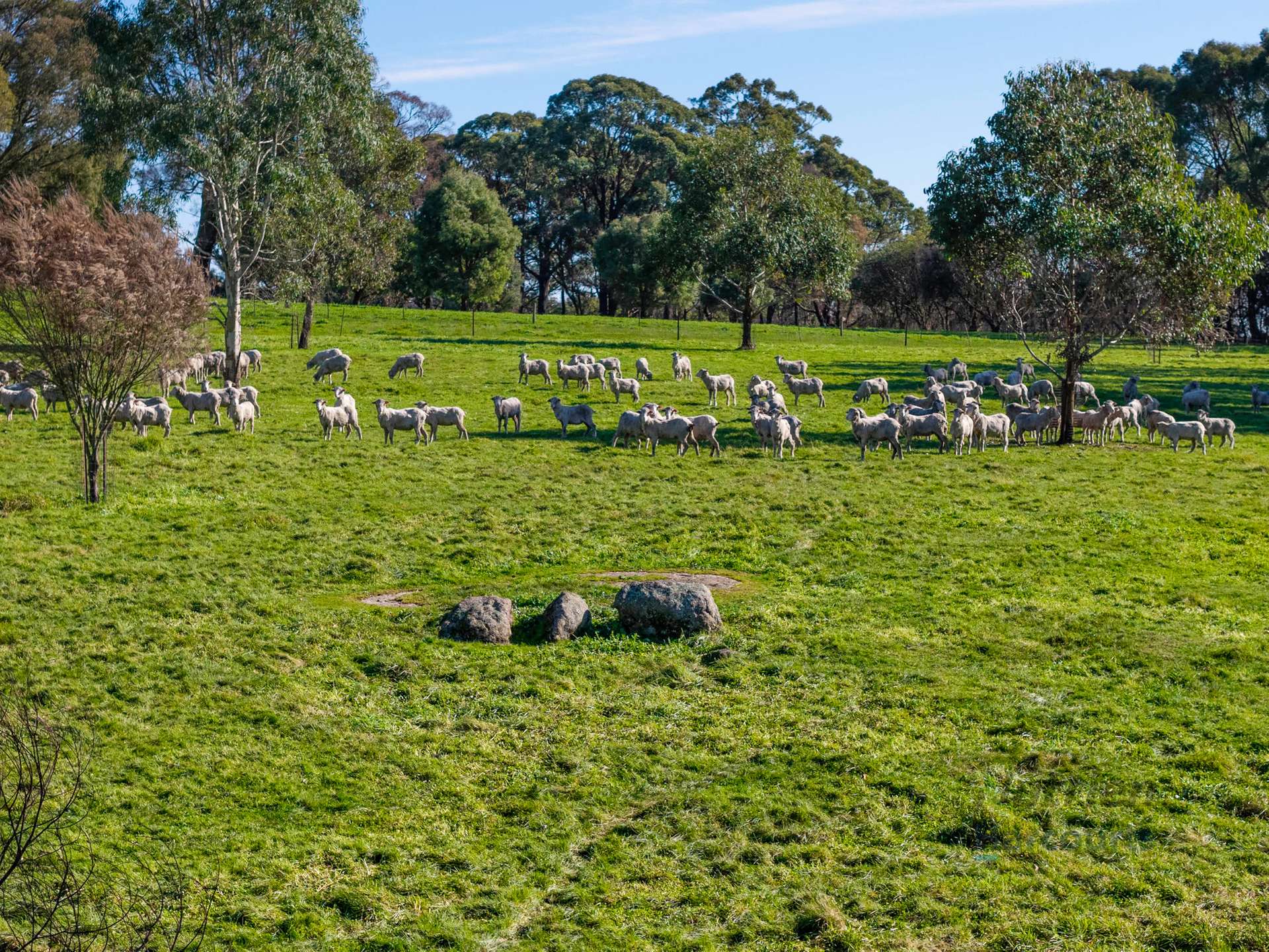 3056 Highlands Road, Highlands For Sale by Farmbuy.com - image 20