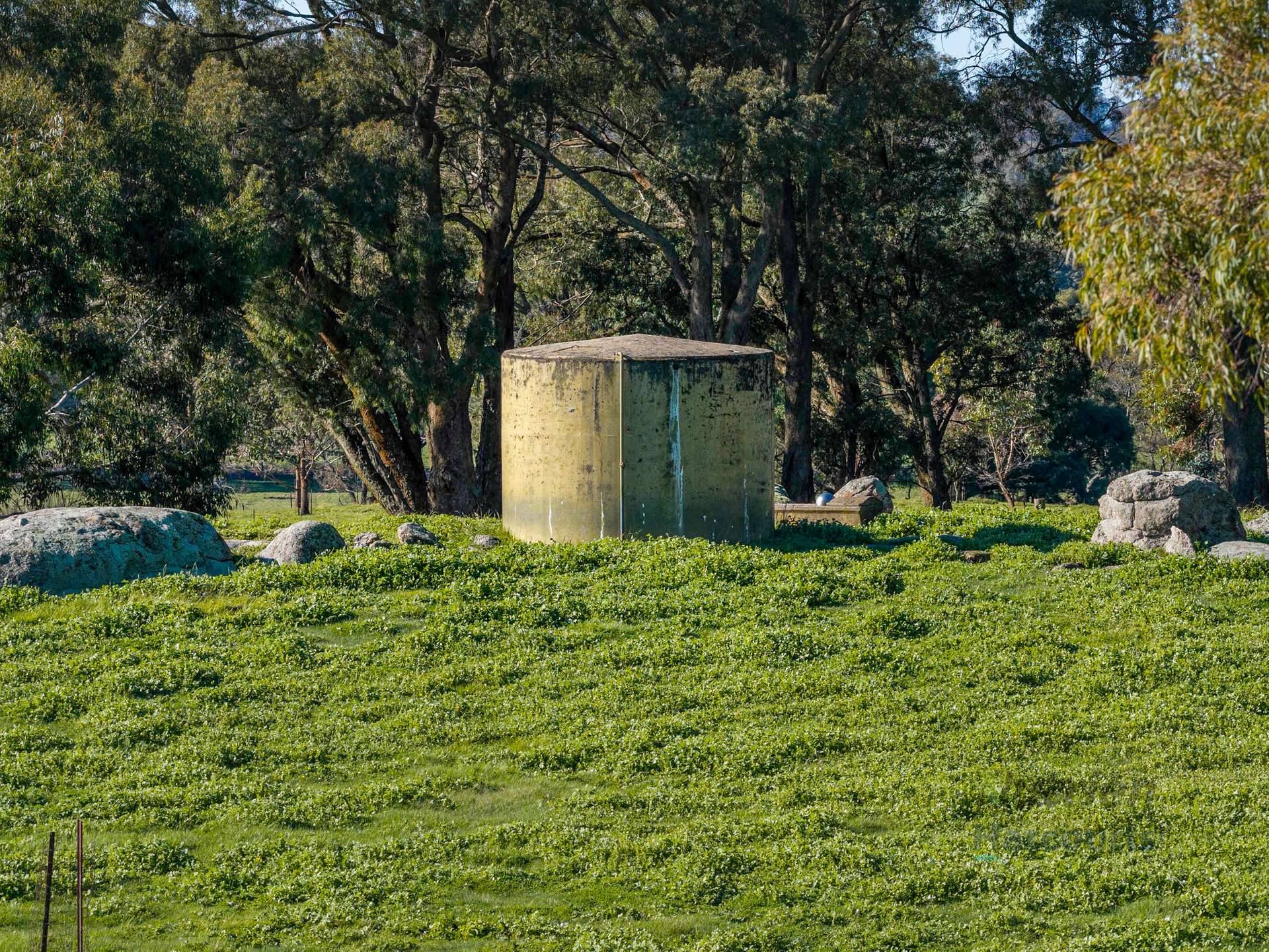 3056 Highlands Road, Highlands For Sale by Farmbuy.com - image 8