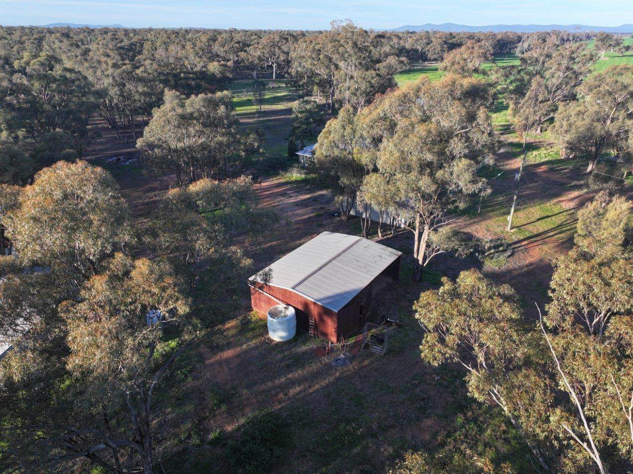 Gilgowrie  470 Berendebba Lane, Quandialla For Sale by Farmbuy.com - image 5