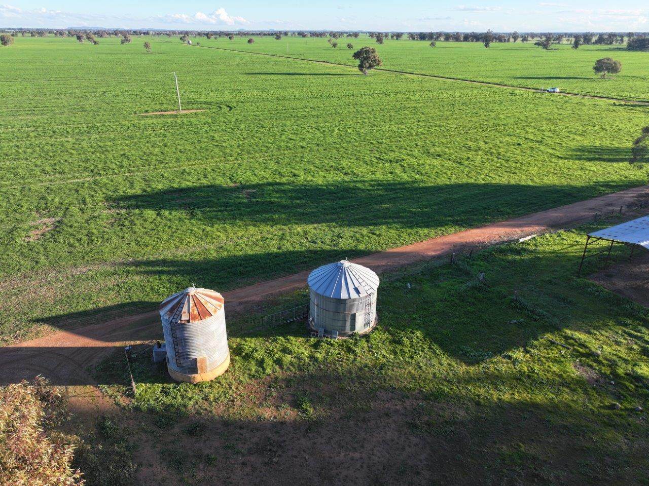 Gilgowrie  470 Berendebba Lane, Quandialla For Sale by Farmbuy.com - image 6