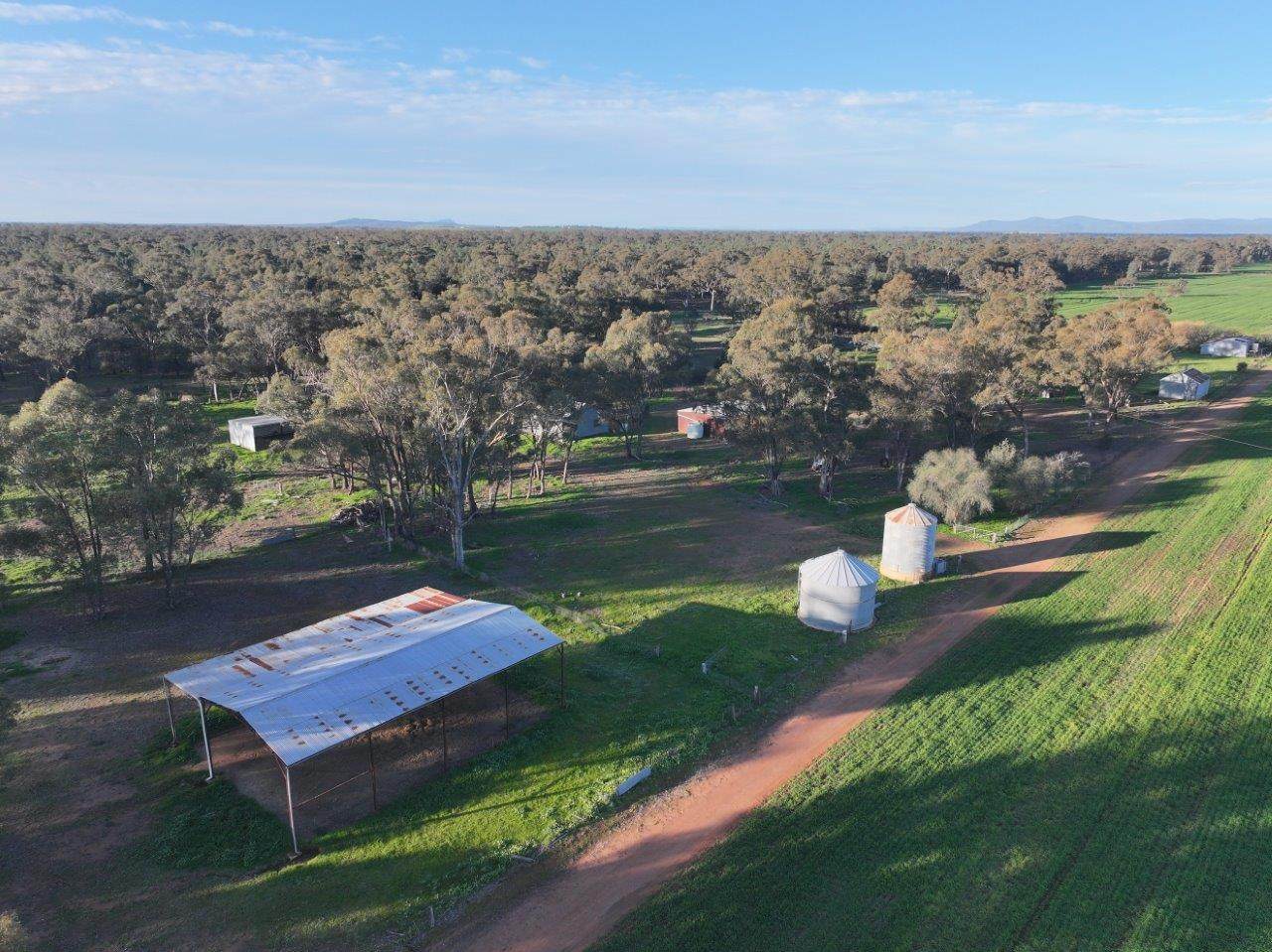 Gilgowrie  470 Berendebba Lane, Quandialla For Sale by Farmbuy.com - image 4