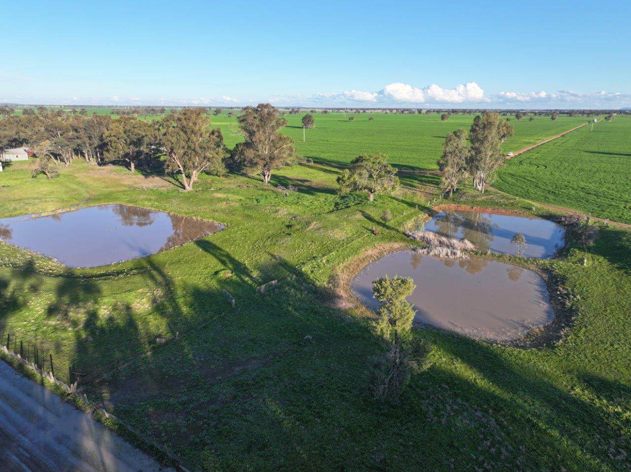 Gilgowrie  470 Berendebba Lane, Quandialla For Sale by Farmbuy.com - image 7