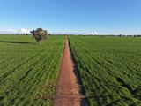 Gilgowrie  470 Berendebba Lane, Quandialla For Sale by Miller & James Real Estate