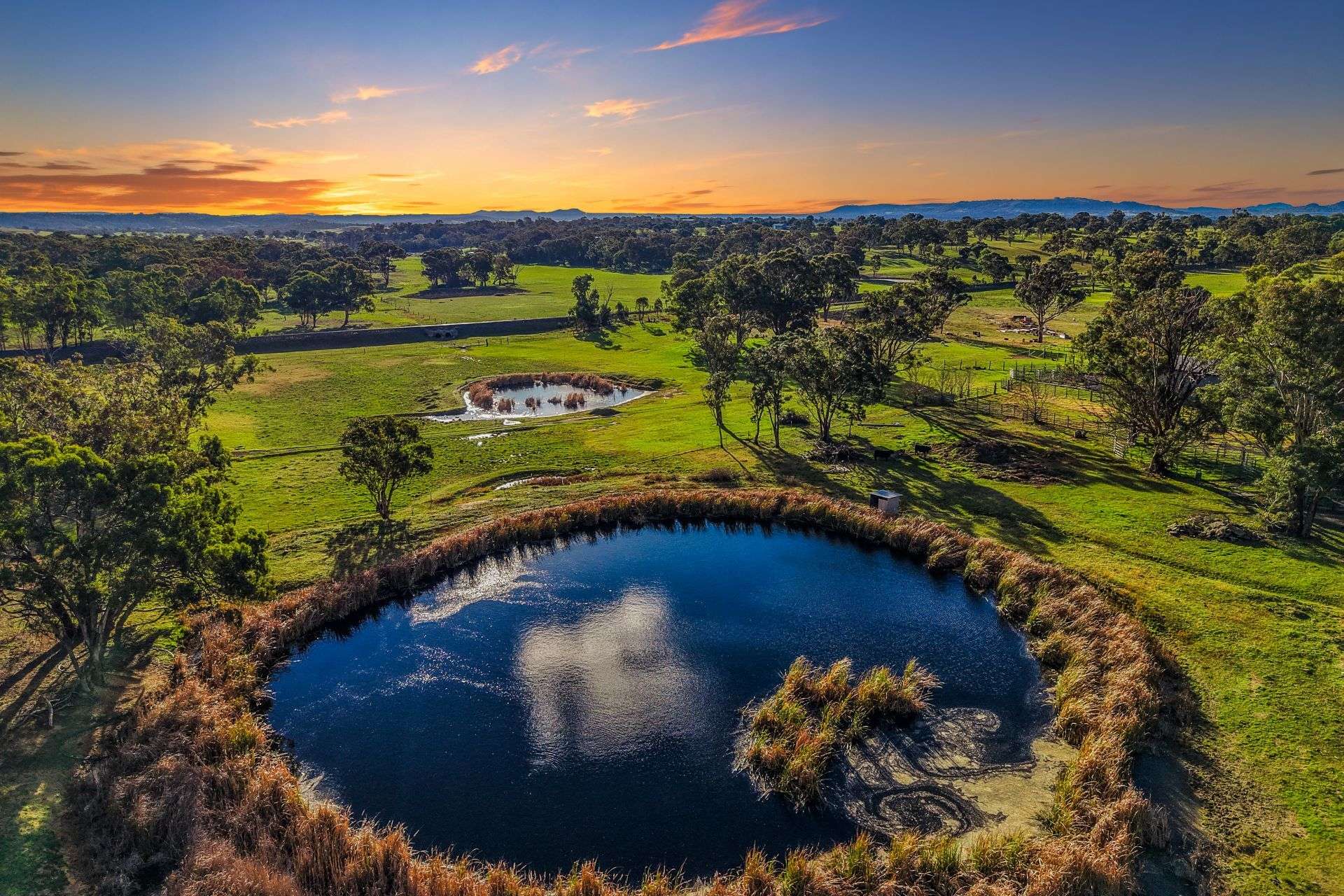 196, 211 Dabee Road, Kandos For Sale by Farmbuy.com - image 13