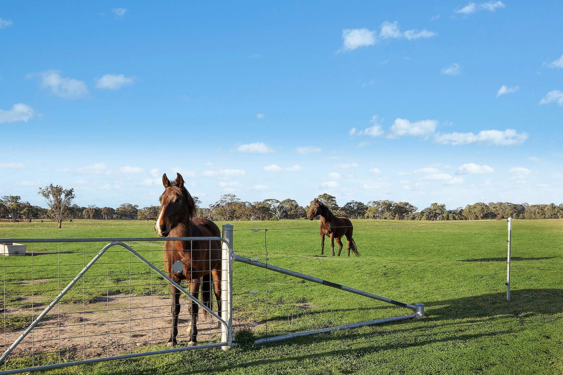 196, 211 Dabee Road, Kandos For Sale by Farmbuy.com - image 9