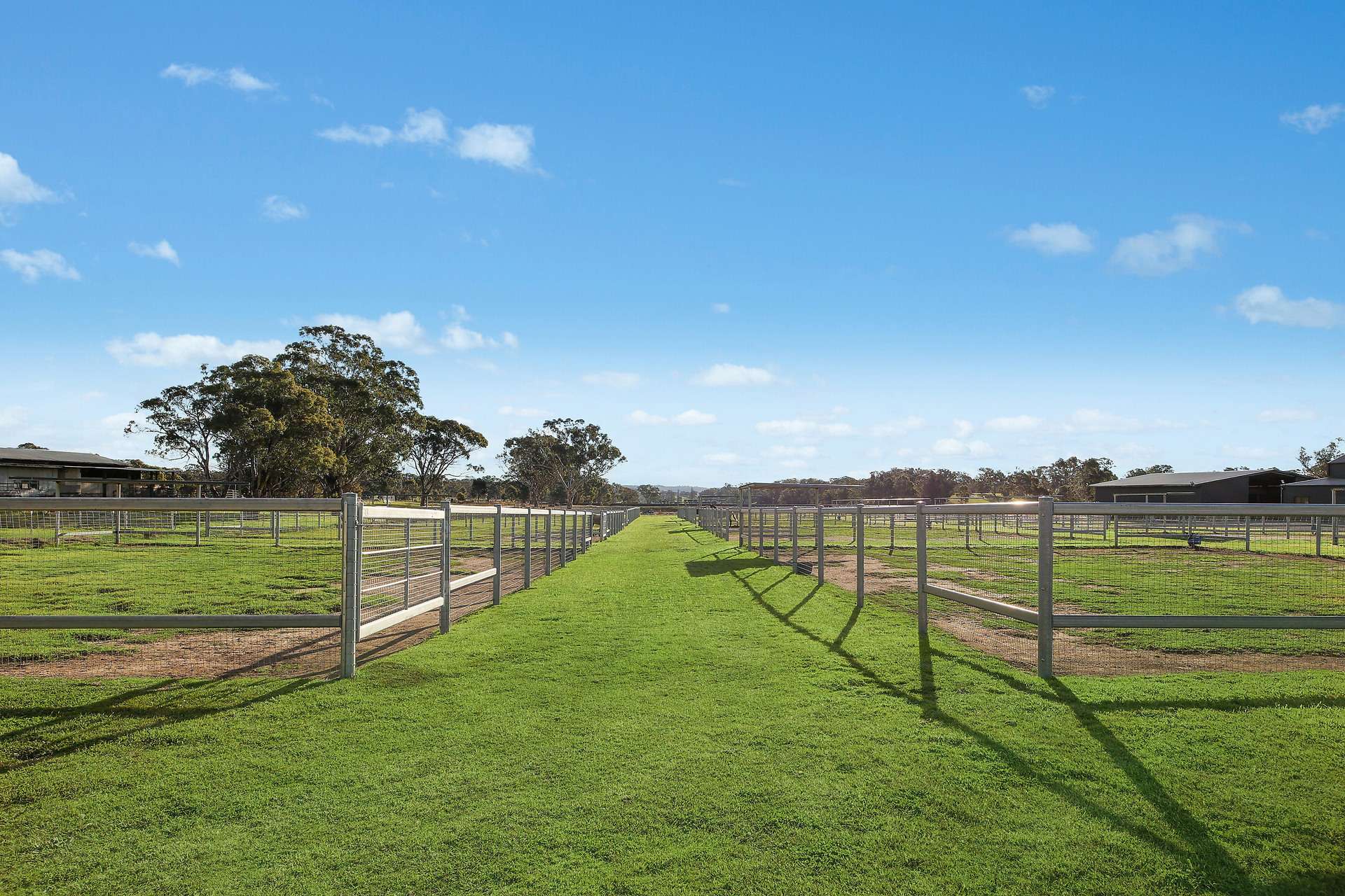 196, 211 Dabee Road, Kandos For Sale by Farmbuy.com - image 10