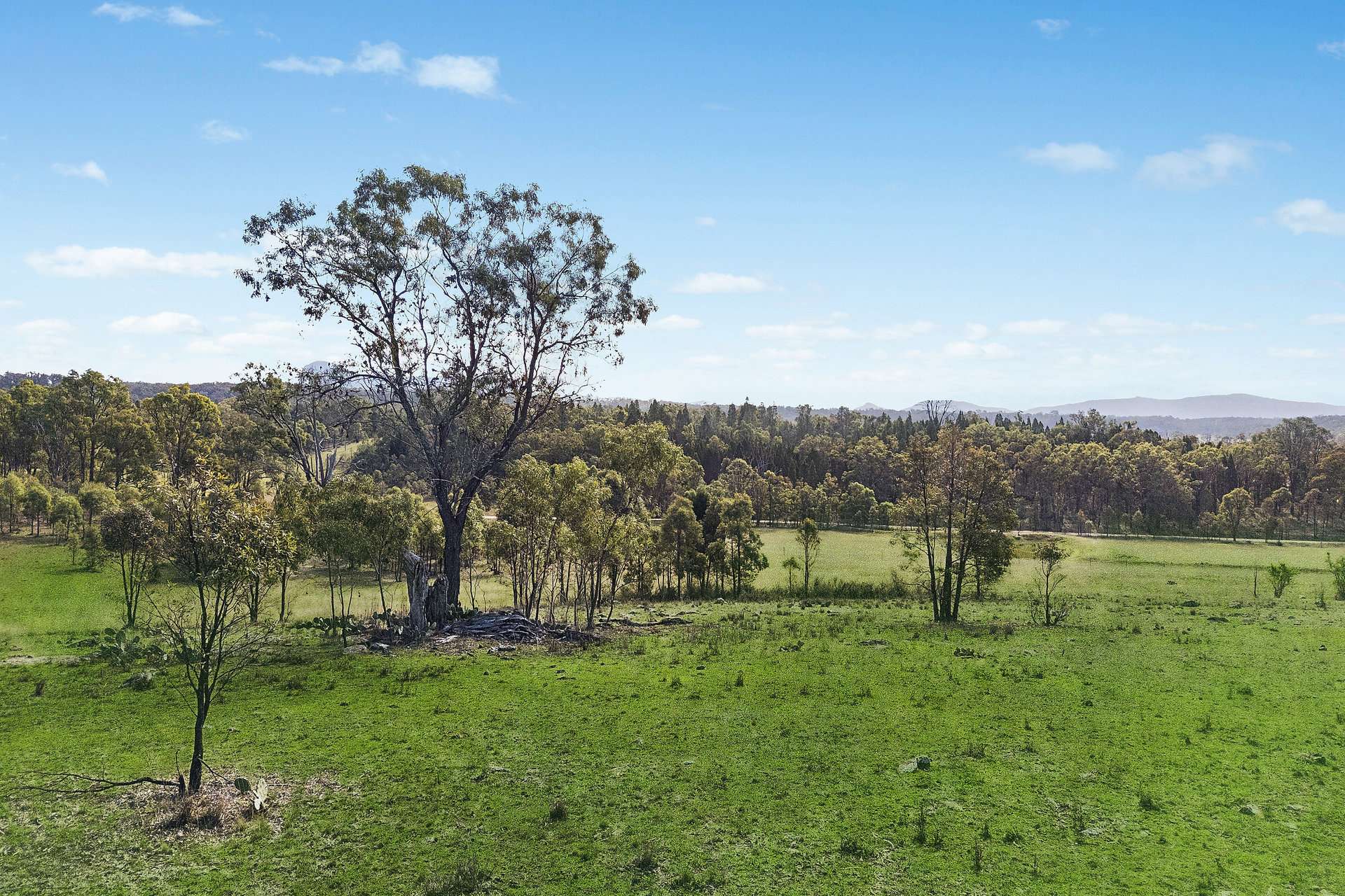 111 Port Macquarie Road, Rylstone Auction by Farmbuy.com - image 13