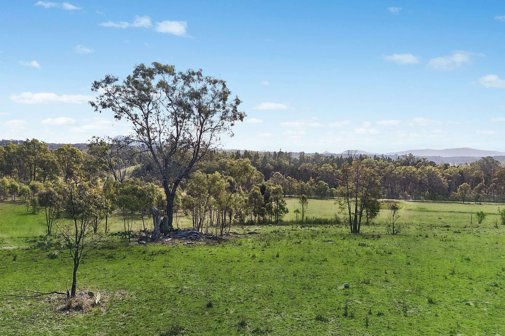111 Port Macquarie Road, Rylstone For Sale by Farmbuy.com - image 13