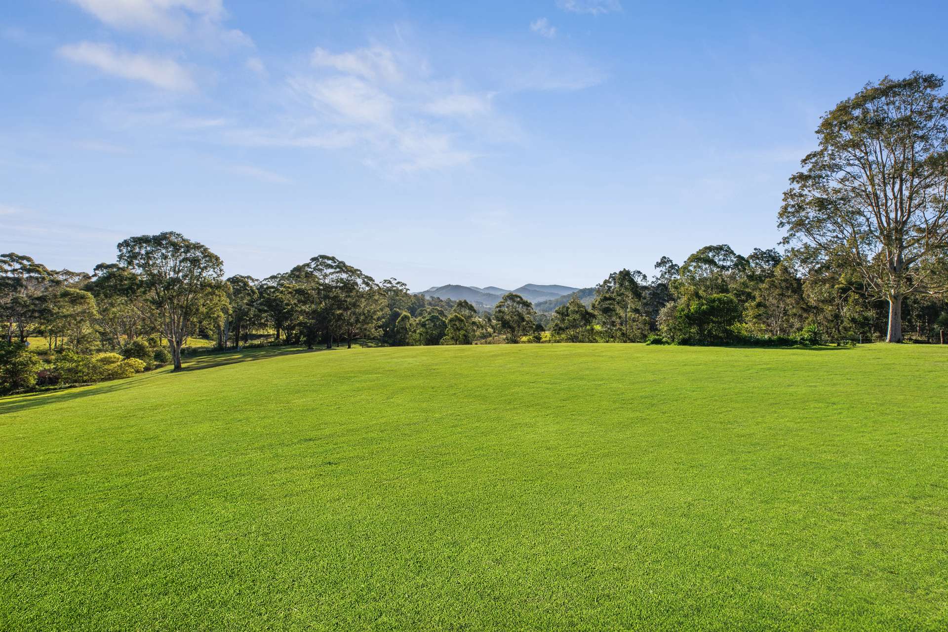 1542 Maitland Vale Road, Lambs Valley For Sale by Farmbuy.com - image 19