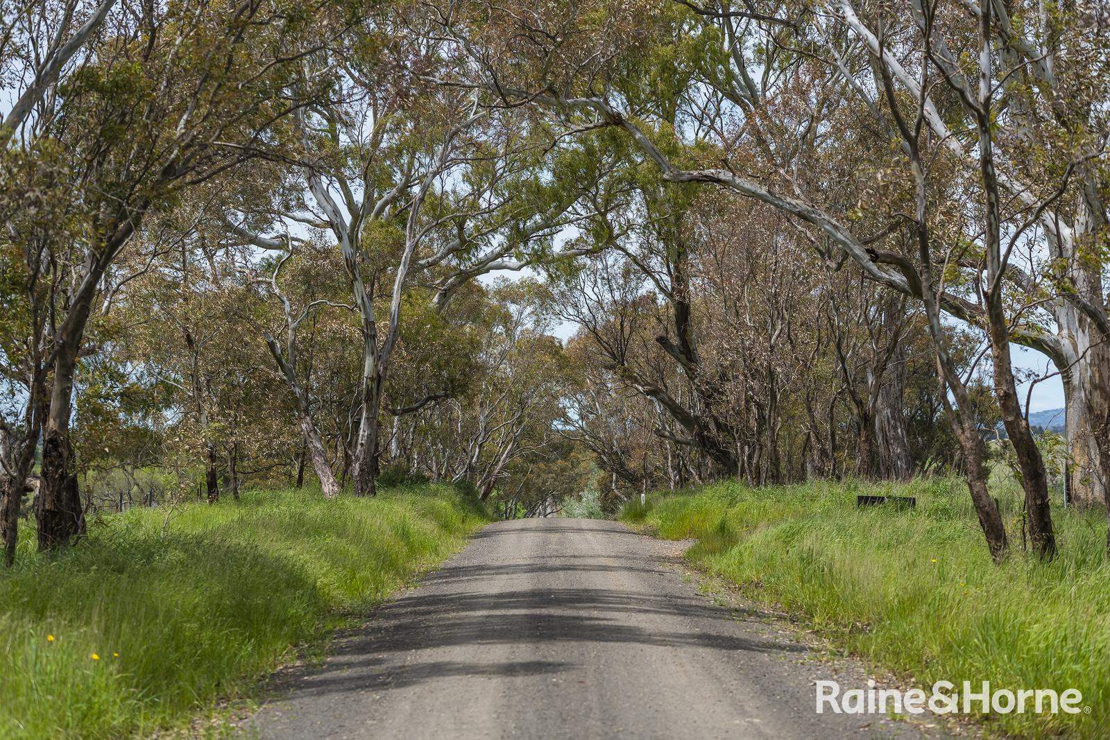 Lot 2 & 3 104 McNiffs Road, Redesdale For Sale by Farmbuy.com - image 6