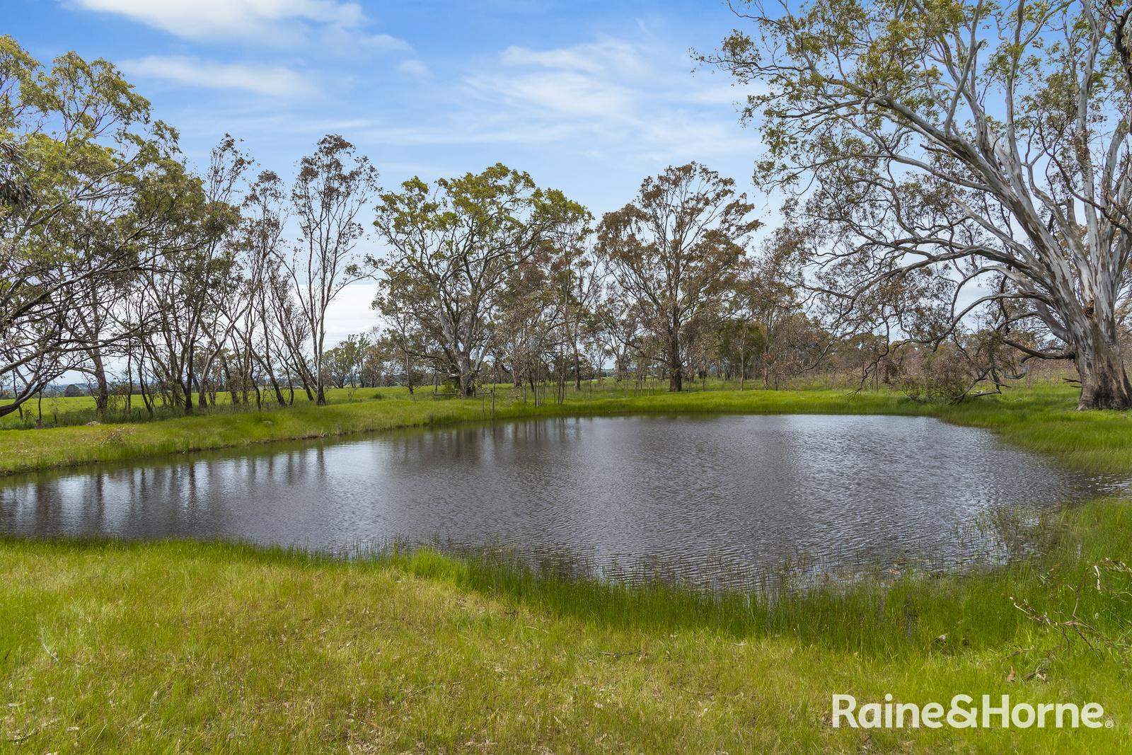 Lot 2 & 3 104 McNiffs Road, Redesdale For Sale by Farmbuy.com - image 3