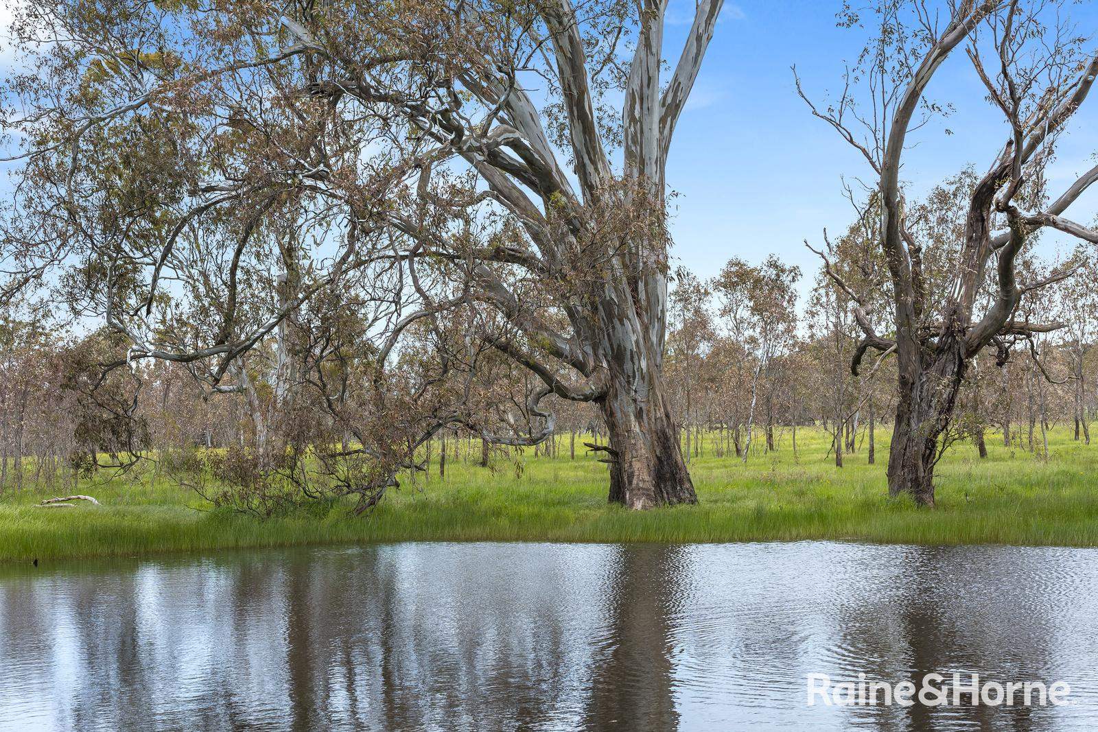 Lot 2 & 3 104 McNiffs Road, Redesdale For Sale by Farmbuy.com - image 10