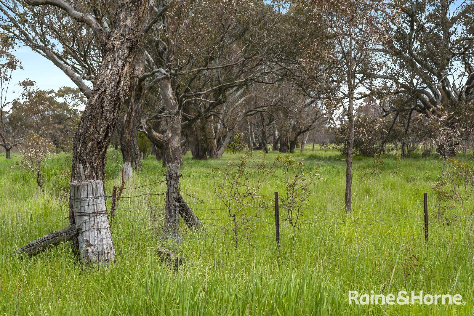 Lot 2 & 3 104 McNiffs Road, Redesdale For Sale by Farmbuy.com - image 8