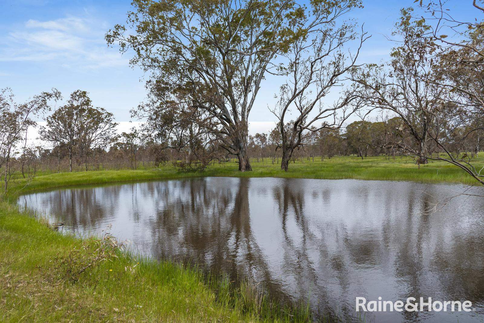 Lot 2 & 3 104 McNiffs Road, Redesdale For Sale by Farmbuy.com - image 12