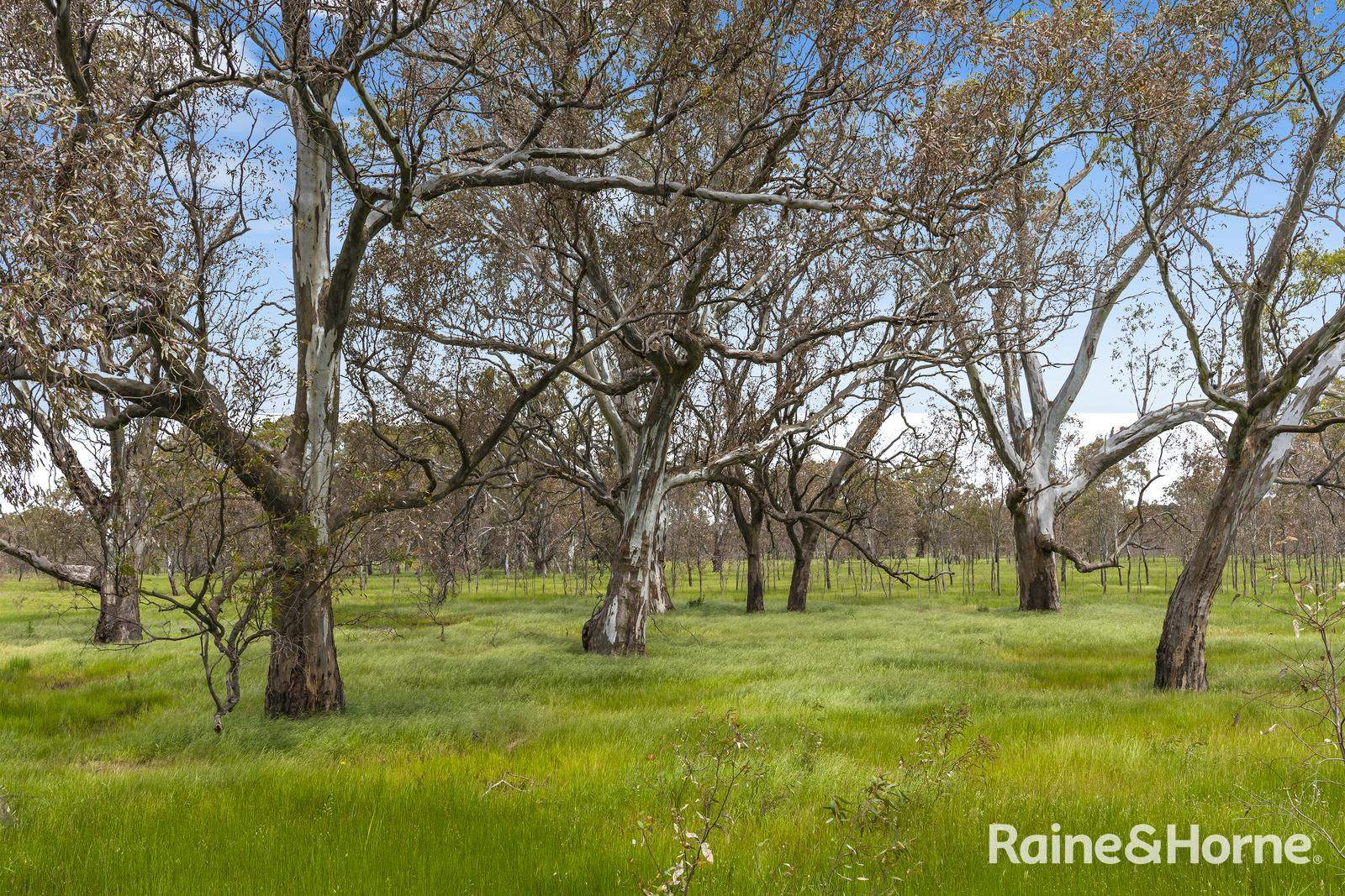 Lot 2 & 3 104 McNiffs Road, Redesdale For Sale by Farmbuy.com - image 2
