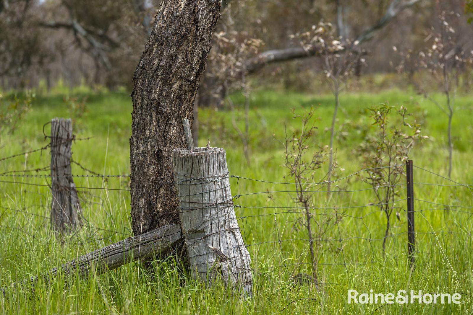 Lot 2 & 3 104 McNiffs Road, Redesdale For Sale by Farmbuy.com - image 7