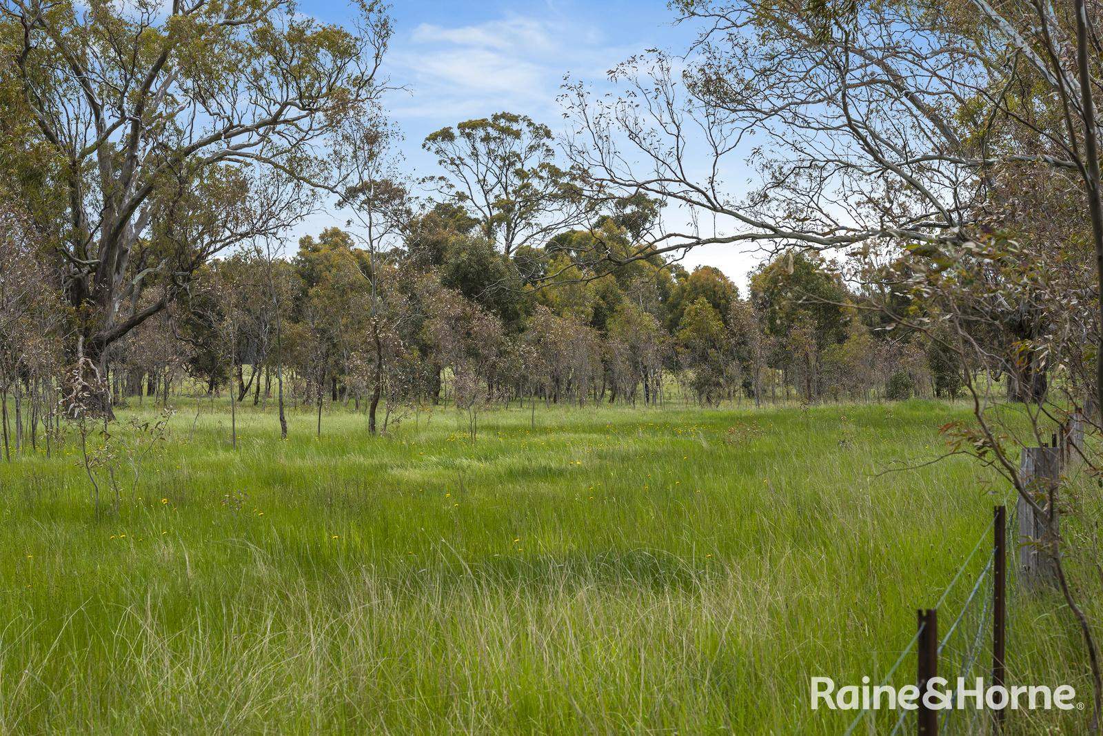 Lot 2 & 3 104 McNiffs Road, Redesdale For Sale by Farmbuy.com - image 11