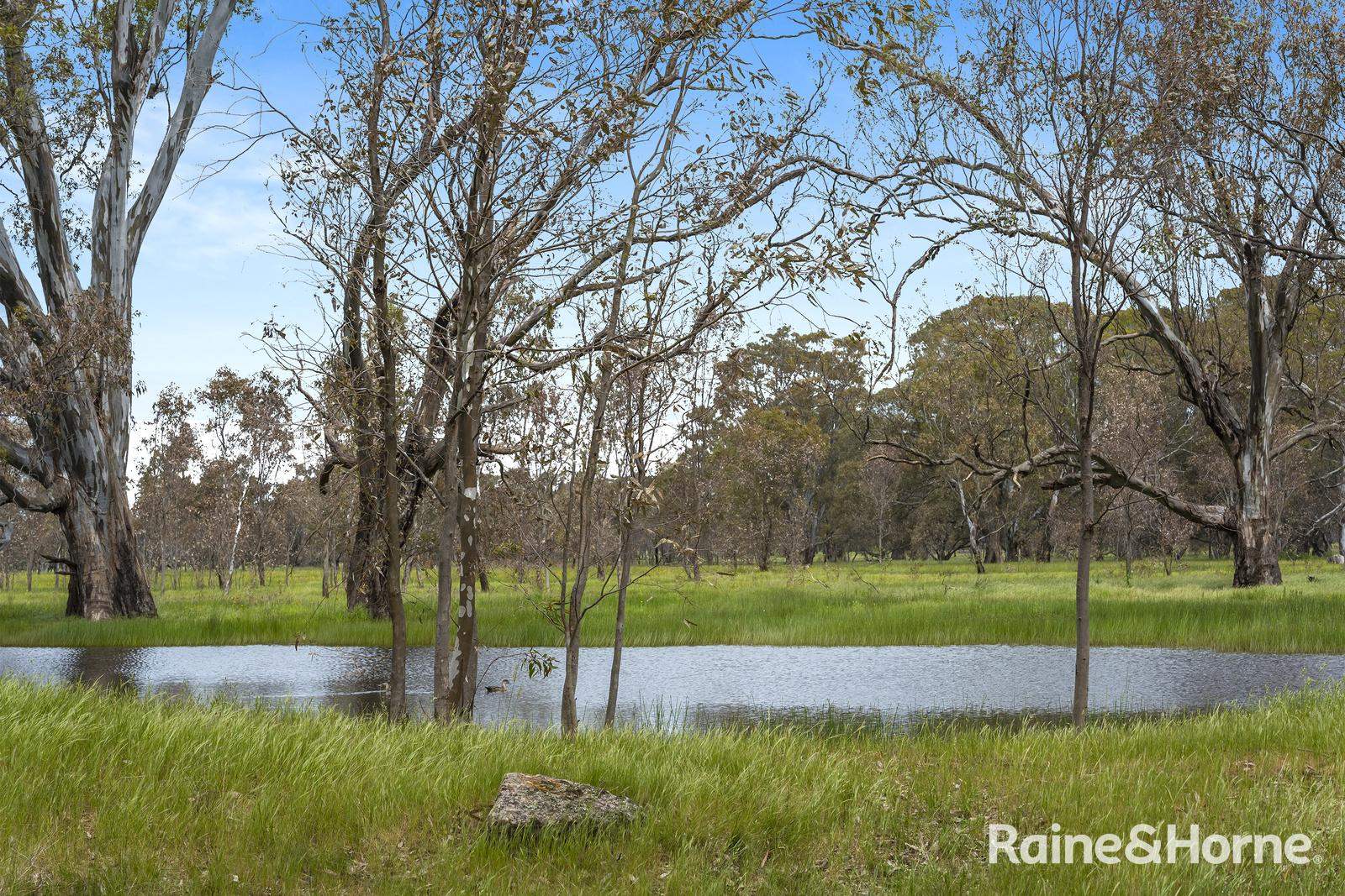 Lot 2 & 3 104 McNiffs Road, Redesdale For Sale by Farmbuy.com - image 9