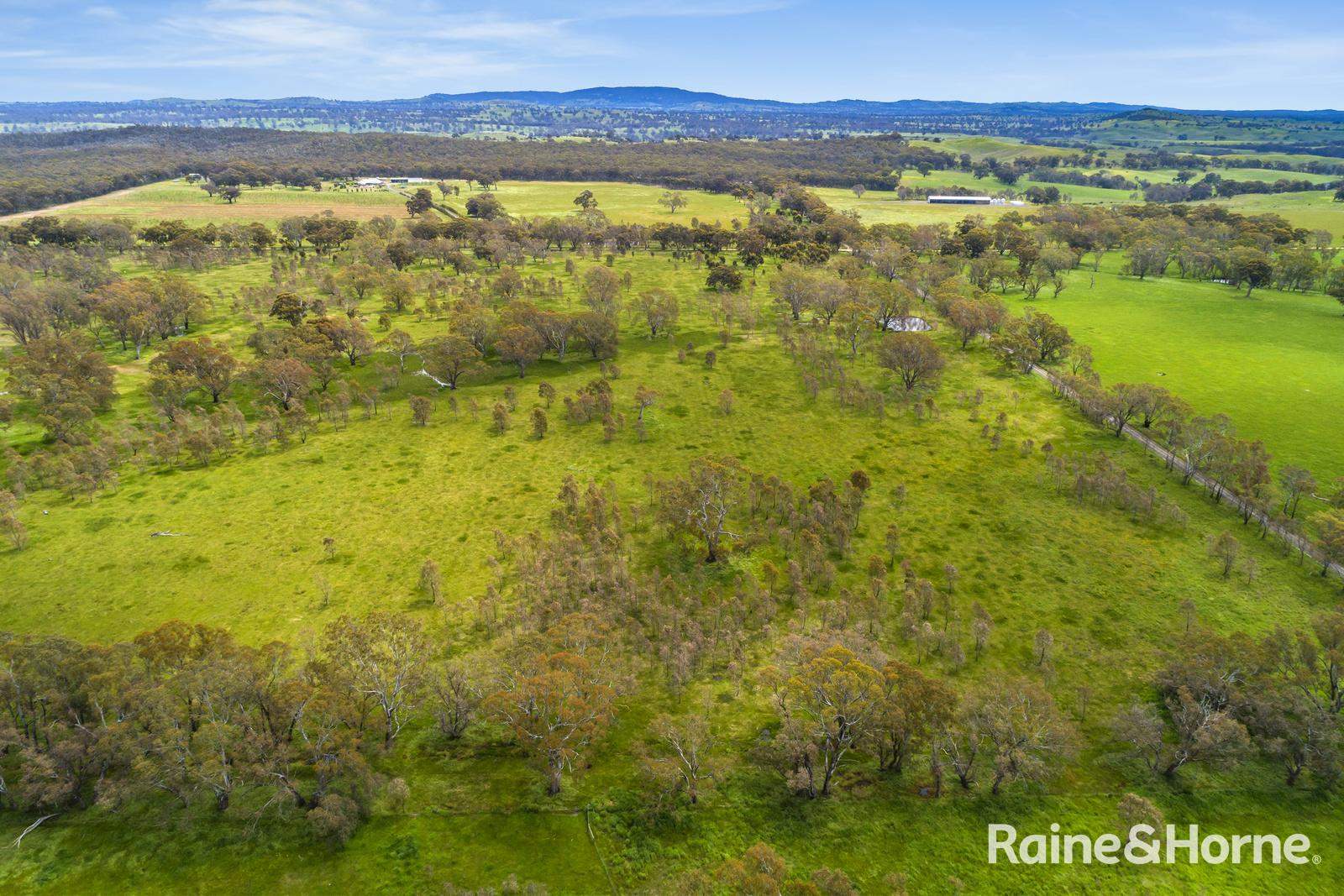 Lot 2 & 3 104 McNiffs Road, Redesdale For Sale by Farmbuy.com - image 5