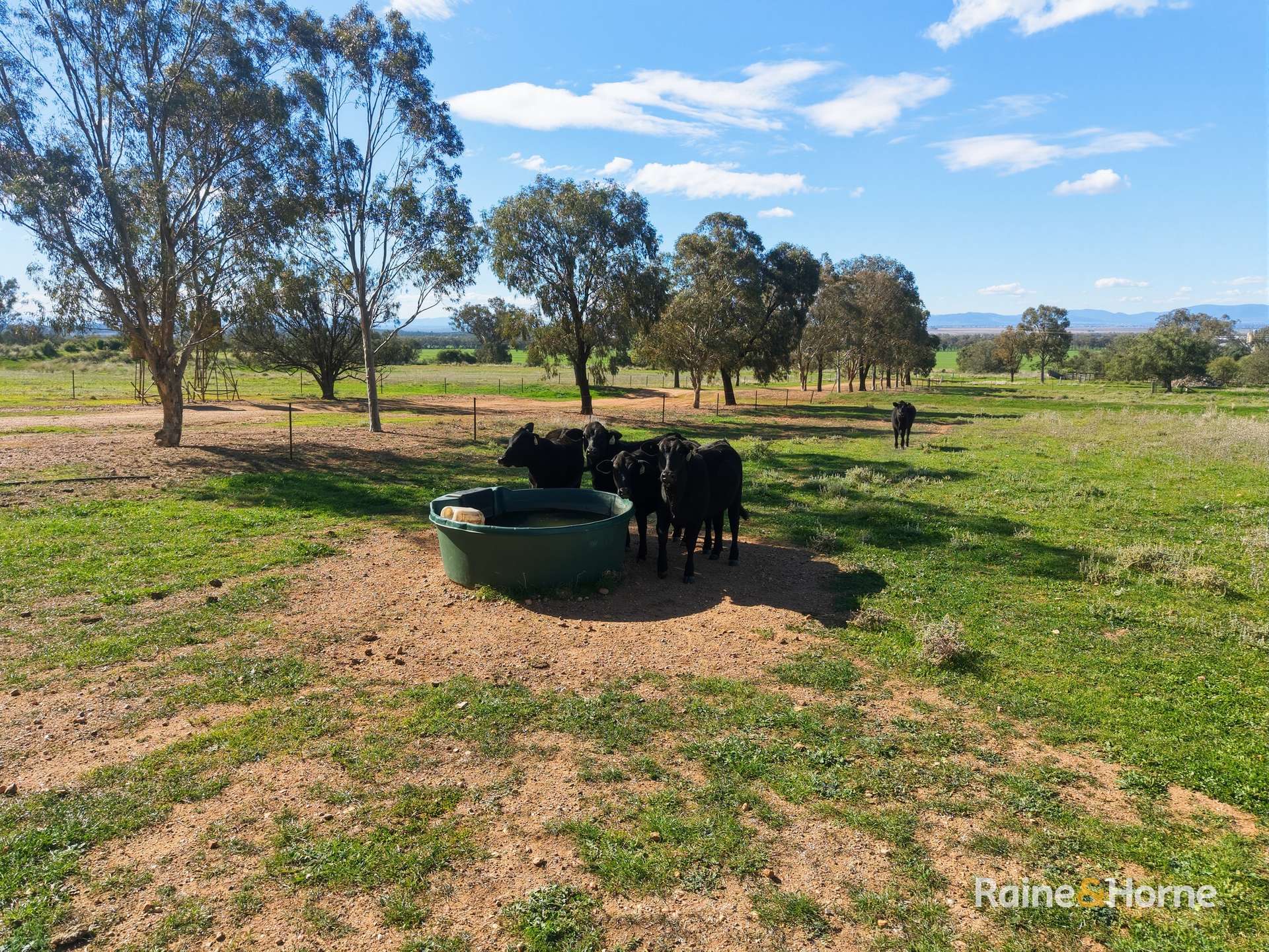 41 Fulwoods Road, Curlewis Auction by Farmbuy.com - image 15