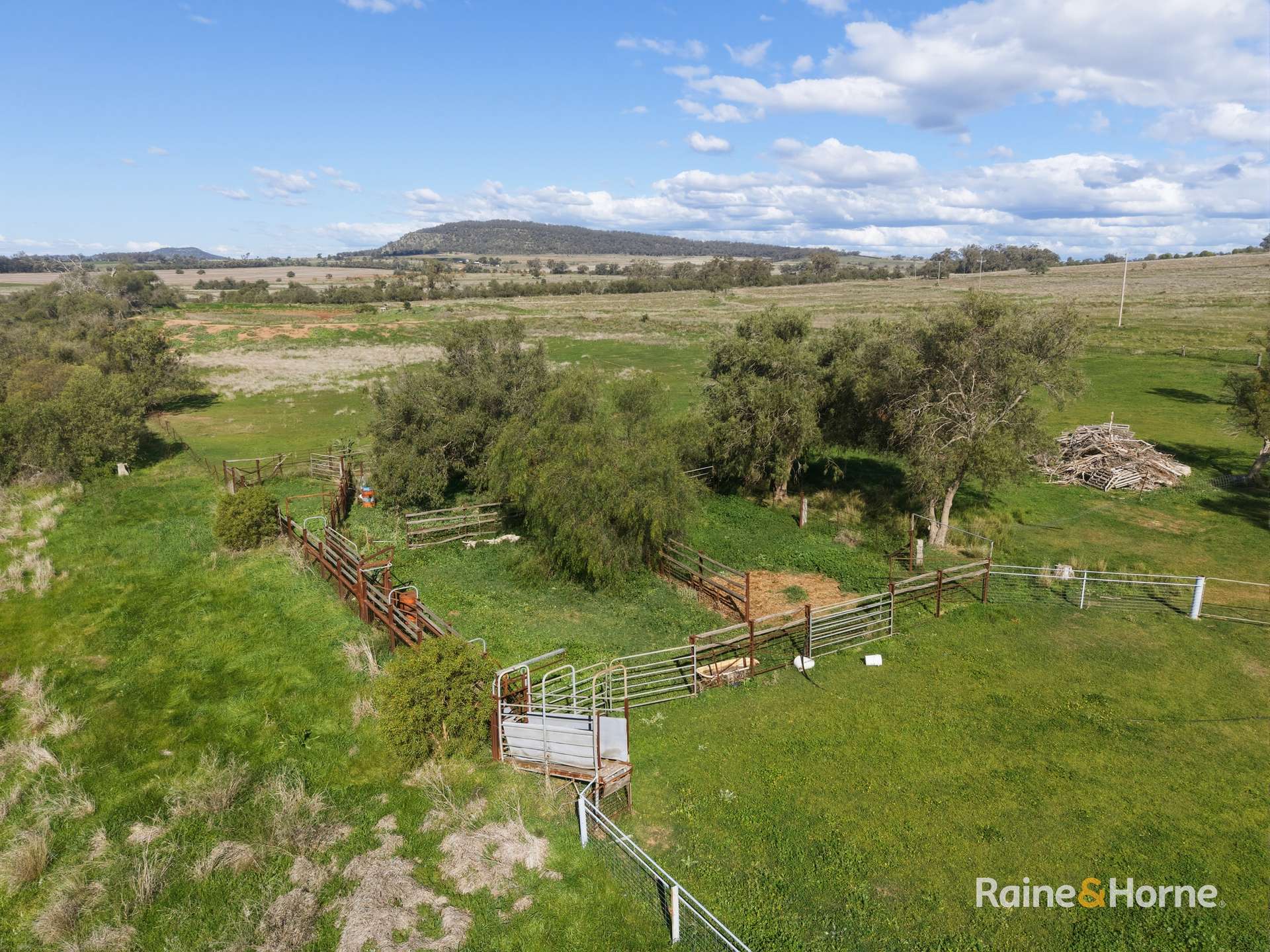 41 Fulwoods Road, Curlewis Auction by Farmbuy.com - image 19