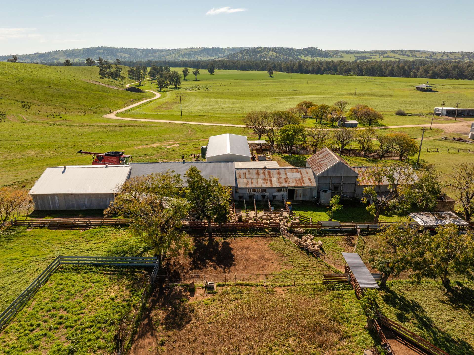 460 Wokolena Road, Wagga Wagga For Sale by Farmbuy.com - image 16