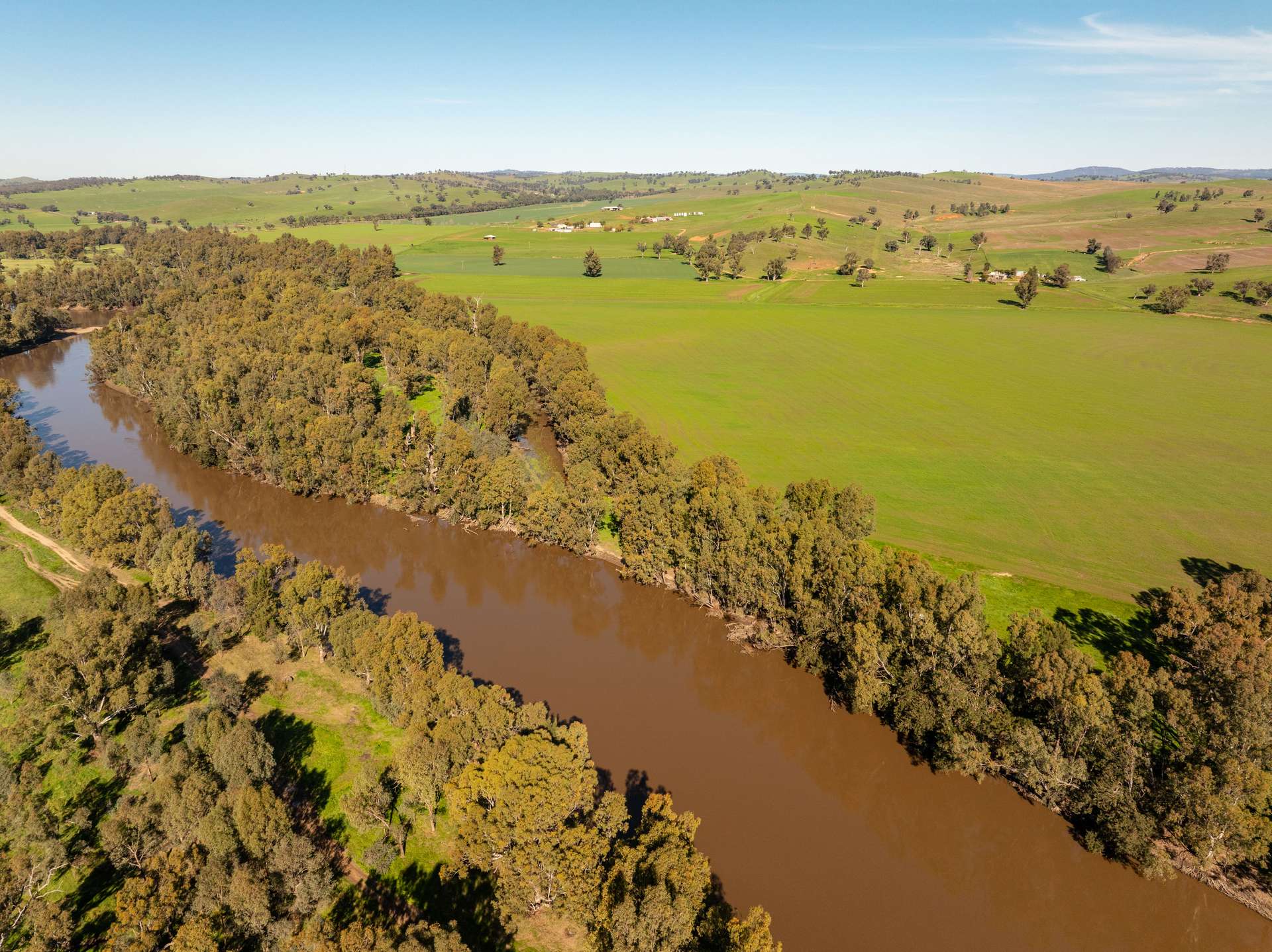 460 Wokolena Road, Wagga Wagga For Sale by Farmbuy.com - image 1