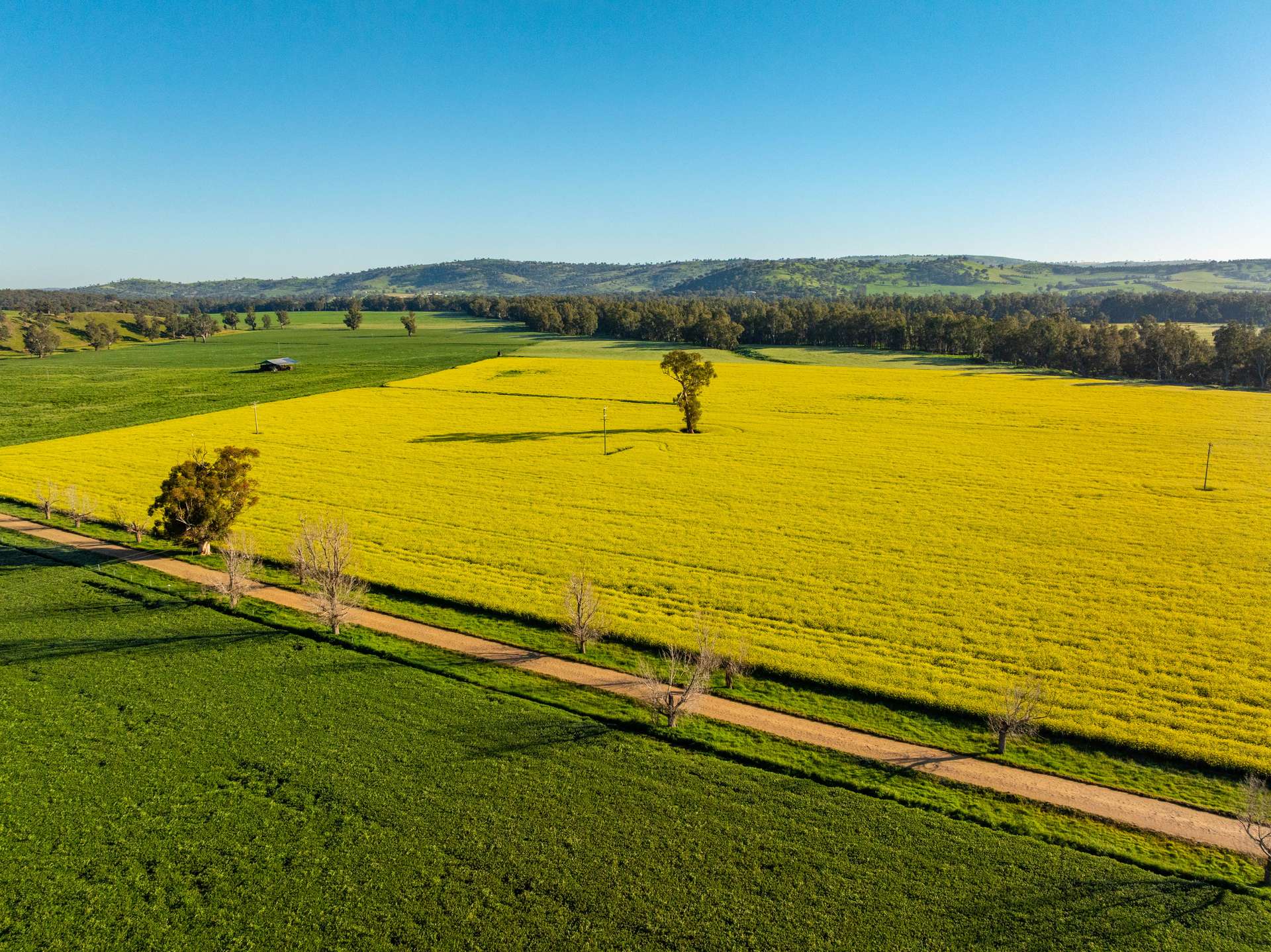460 Wokolena Road, Wagga Wagga For Sale by Farmbuy.com - image 34