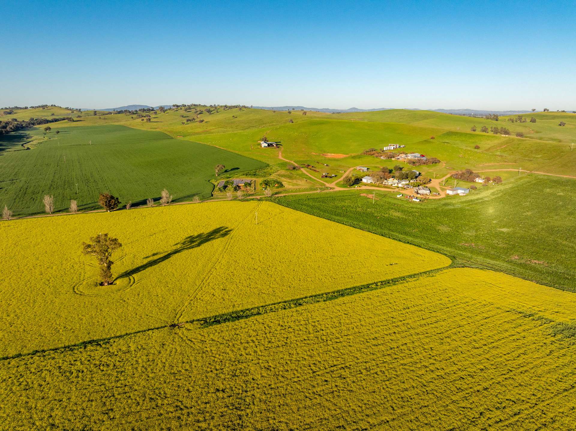 460 Wokolena Road, Wagga Wagga For Sale by Farmbuy.com - image 12