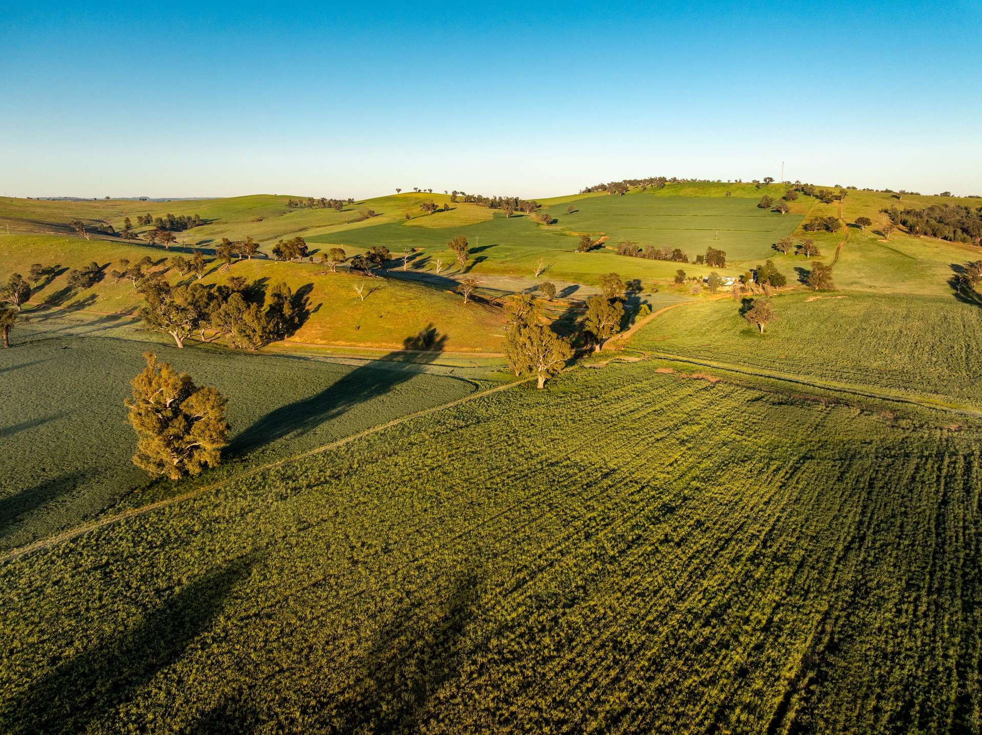 460 Wokolena Road, Wagga Wagga For Sale by Farmbuy.com - image 27
