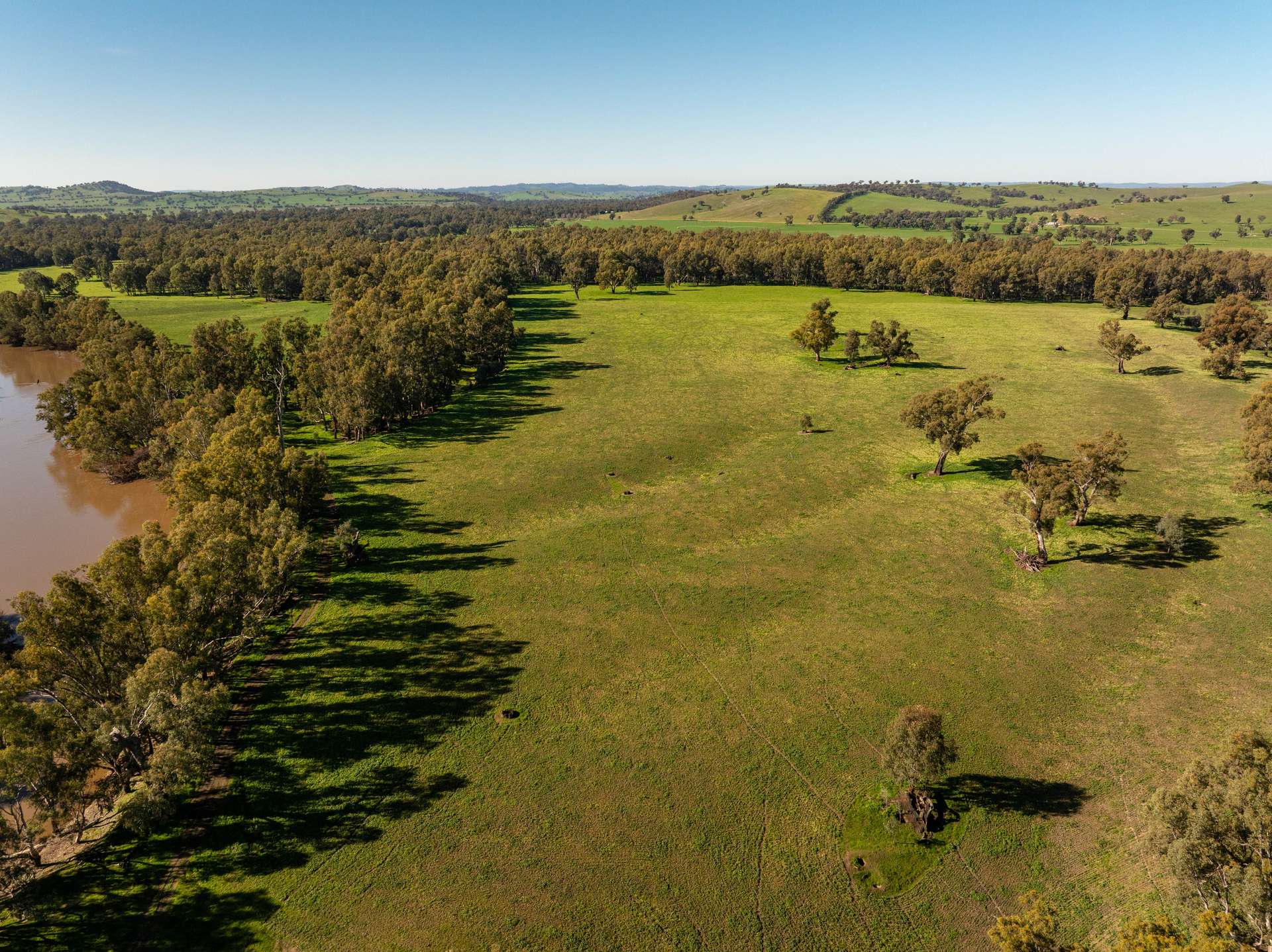 460 Wokolena Road, Wagga Wagga For Sale by Farmbuy.com - image 10