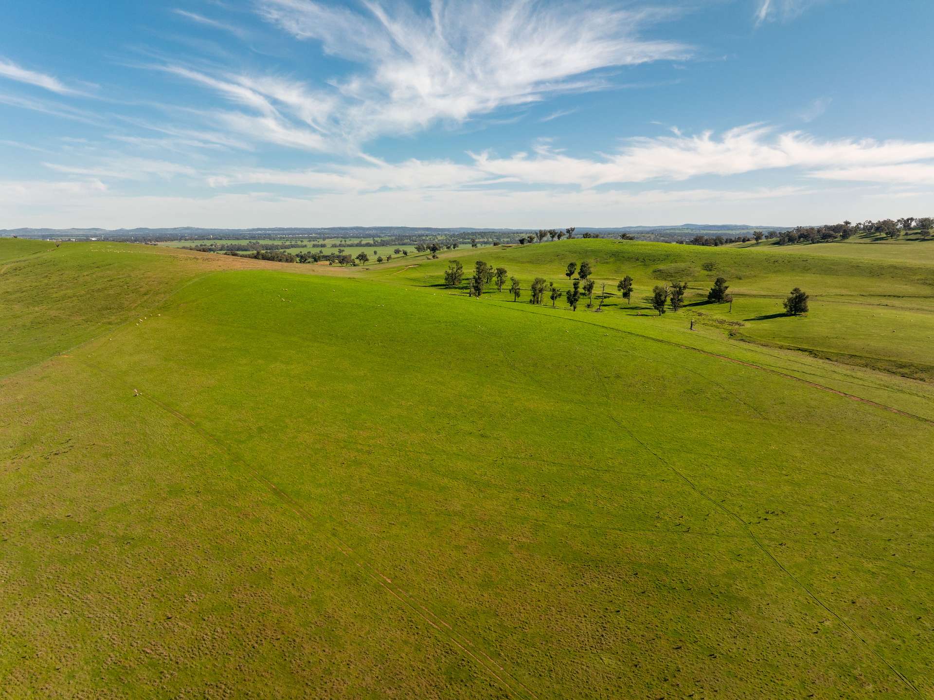 460 Wokolena Road, Wagga Wagga For Sale by Farmbuy.com - image 11