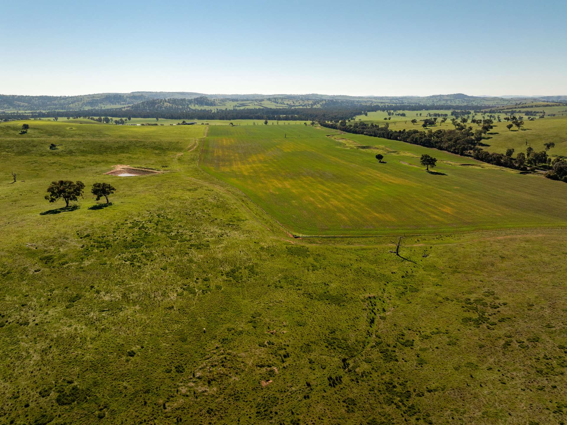 460 Wokolena Road, Wagga Wagga For Sale by Farmbuy.com - image 5