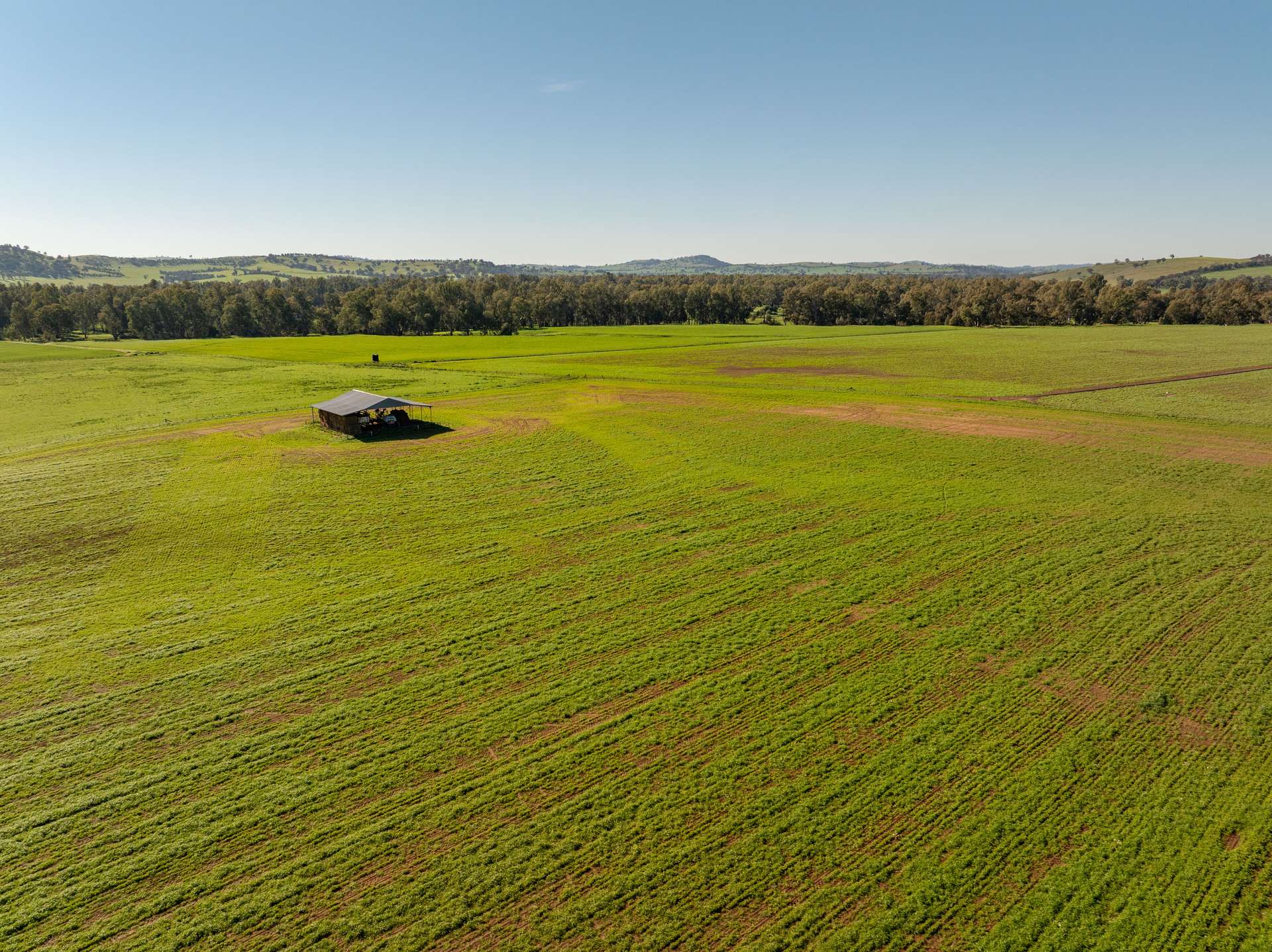460 Wokolena Road, Wagga Wagga For Sale by Farmbuy.com - image 13