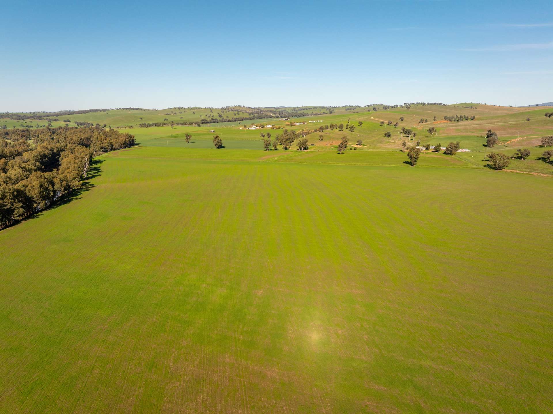 460 Wokolena Road, Wagga Wagga For Sale by Farmbuy.com - image 2
