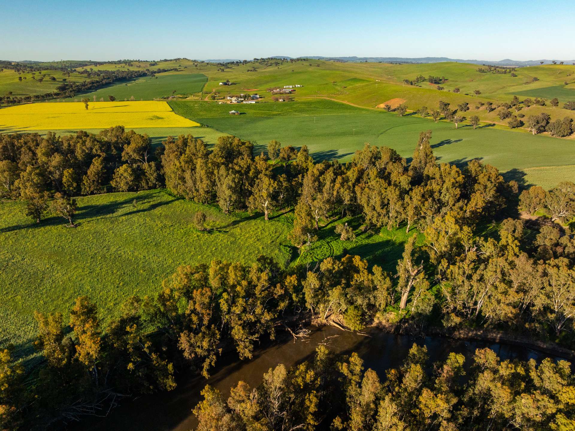 460 Wokolena Road, Wagga Wagga For Sale by Farmbuy.com - image 4