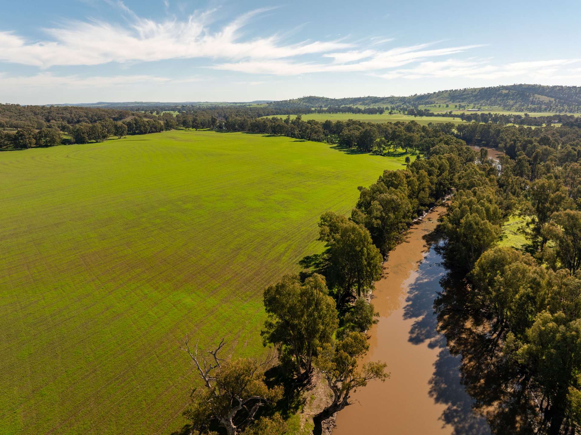 460 Wokolena Road, Wagga Wagga For Sale by Farmbuy.com - image 8