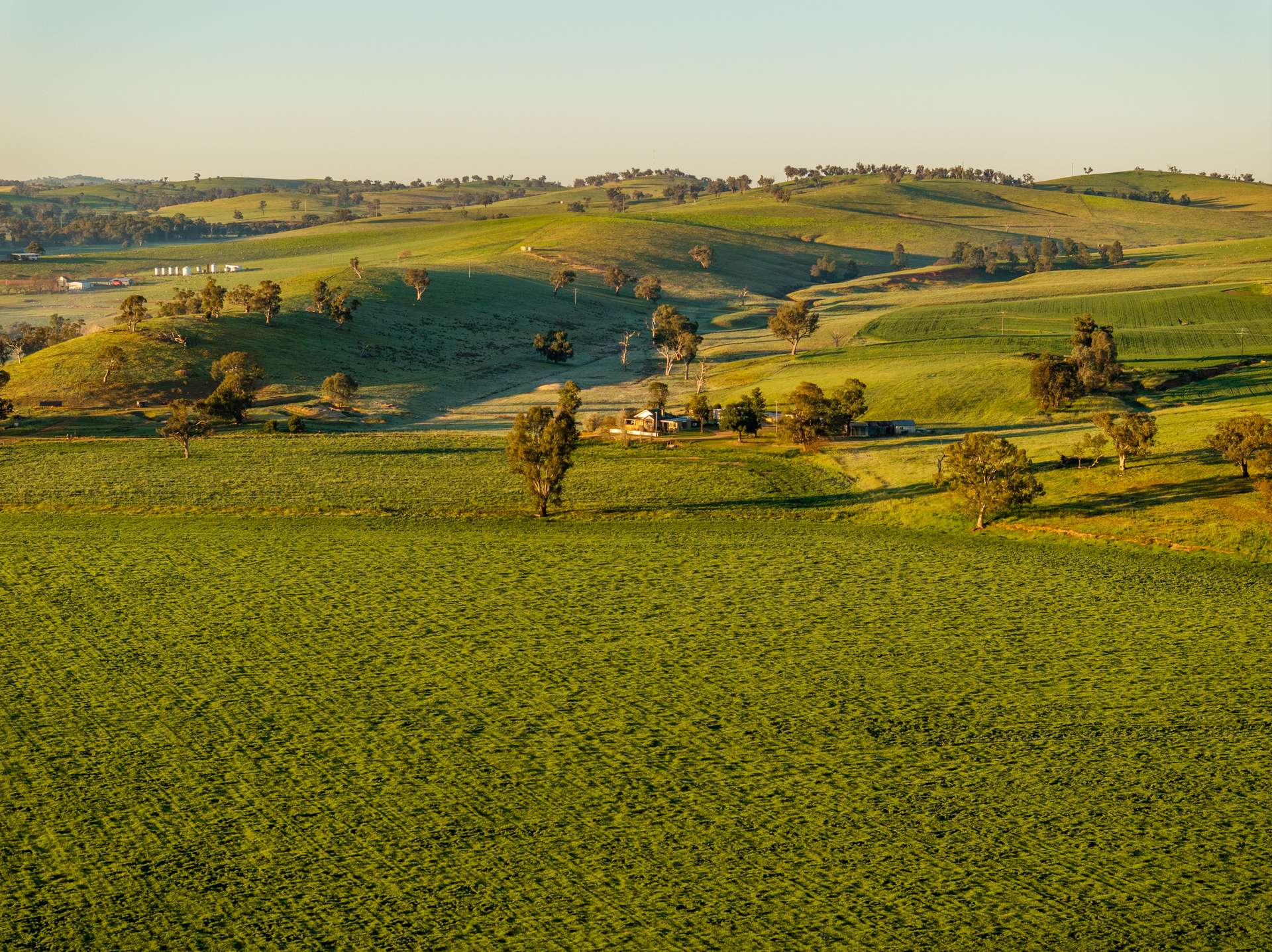 460 Wokolena Road, Wagga Wagga For Sale by Farmbuy.com - image 28