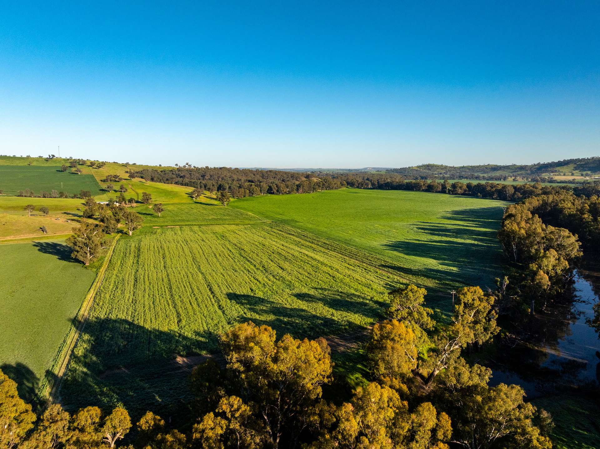 460 Wokolena Road, Wagga Wagga For Sale by Farmbuy.com - image 2