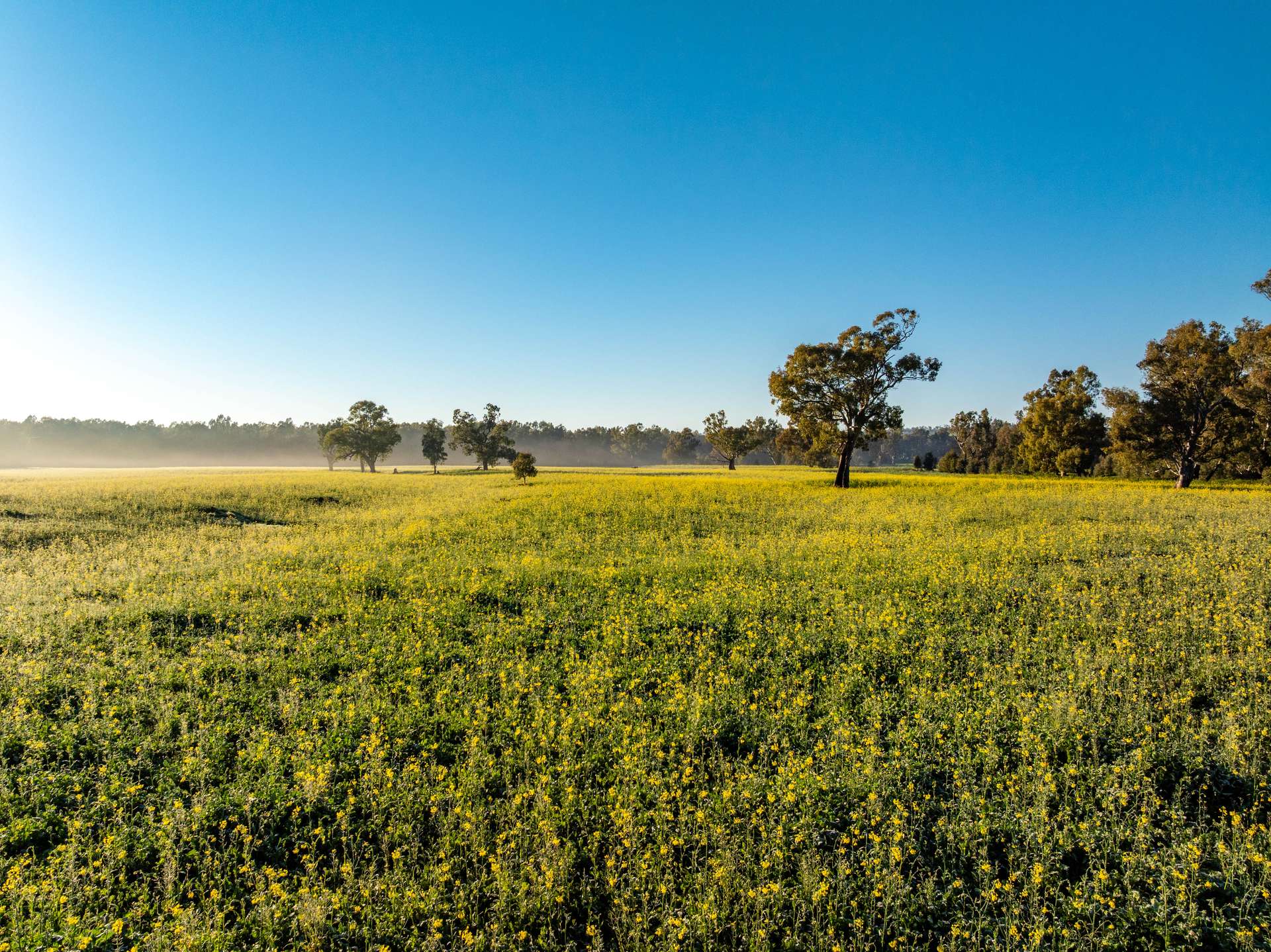 460 Wokolena Road, Wagga Wagga For Sale by Farmbuy.com - image 26